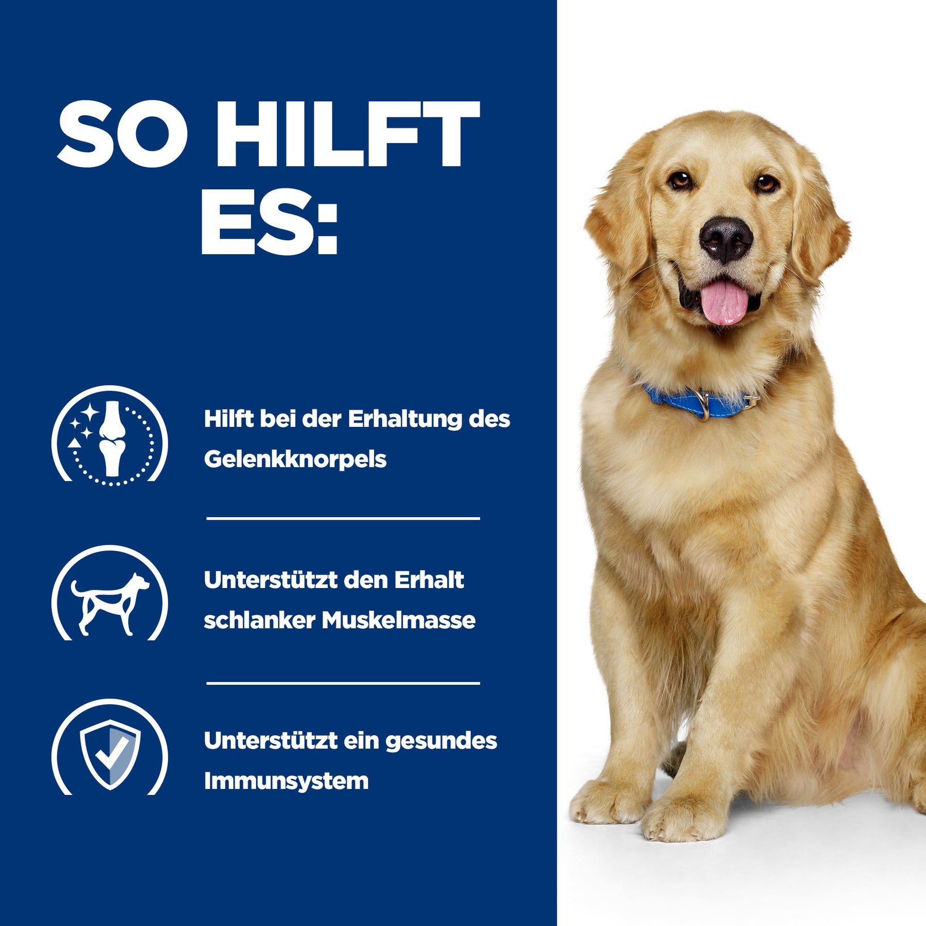 j/d Nassfutter für Hunde mit Huhn How It Helps