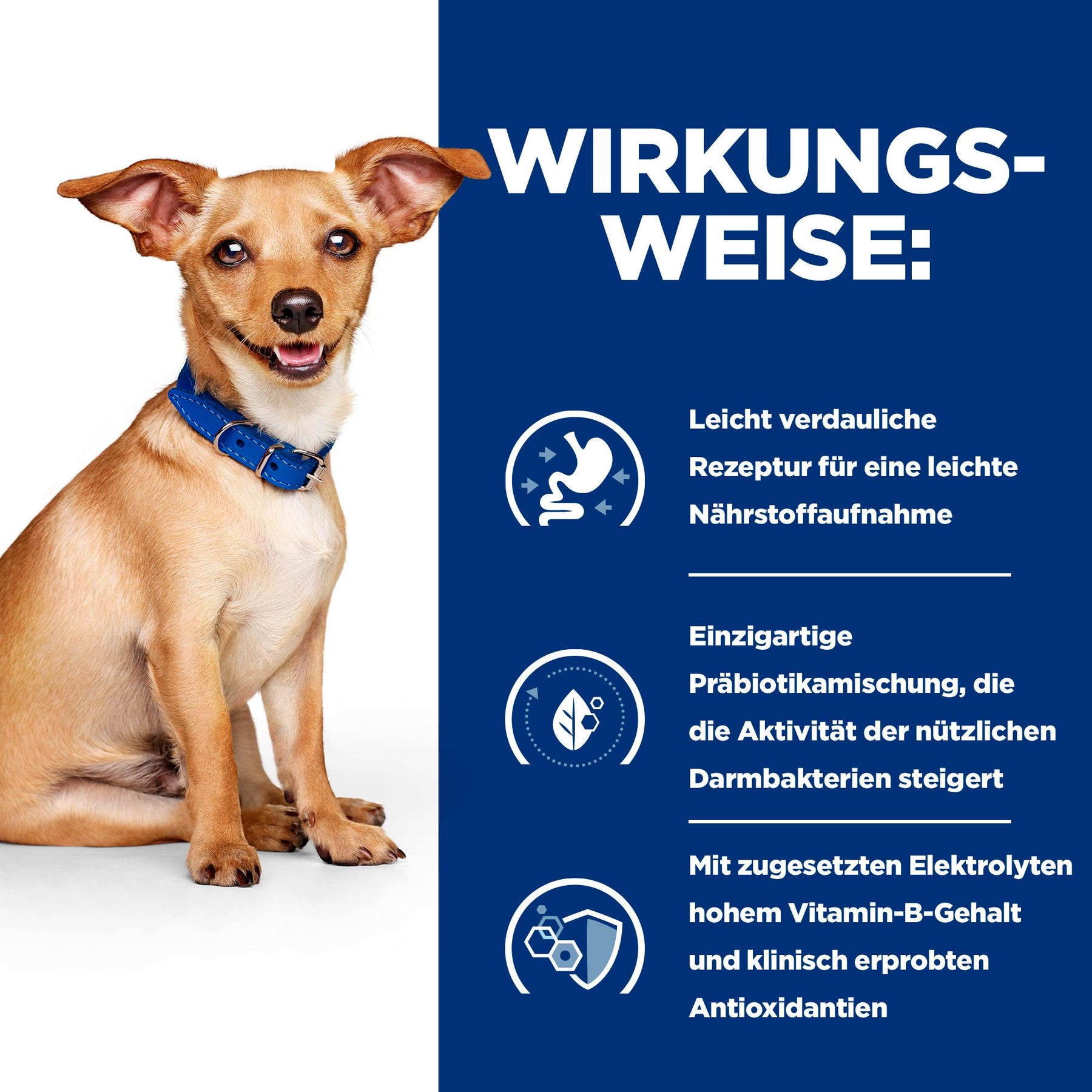 i/d Ragout für Hunde How It Works