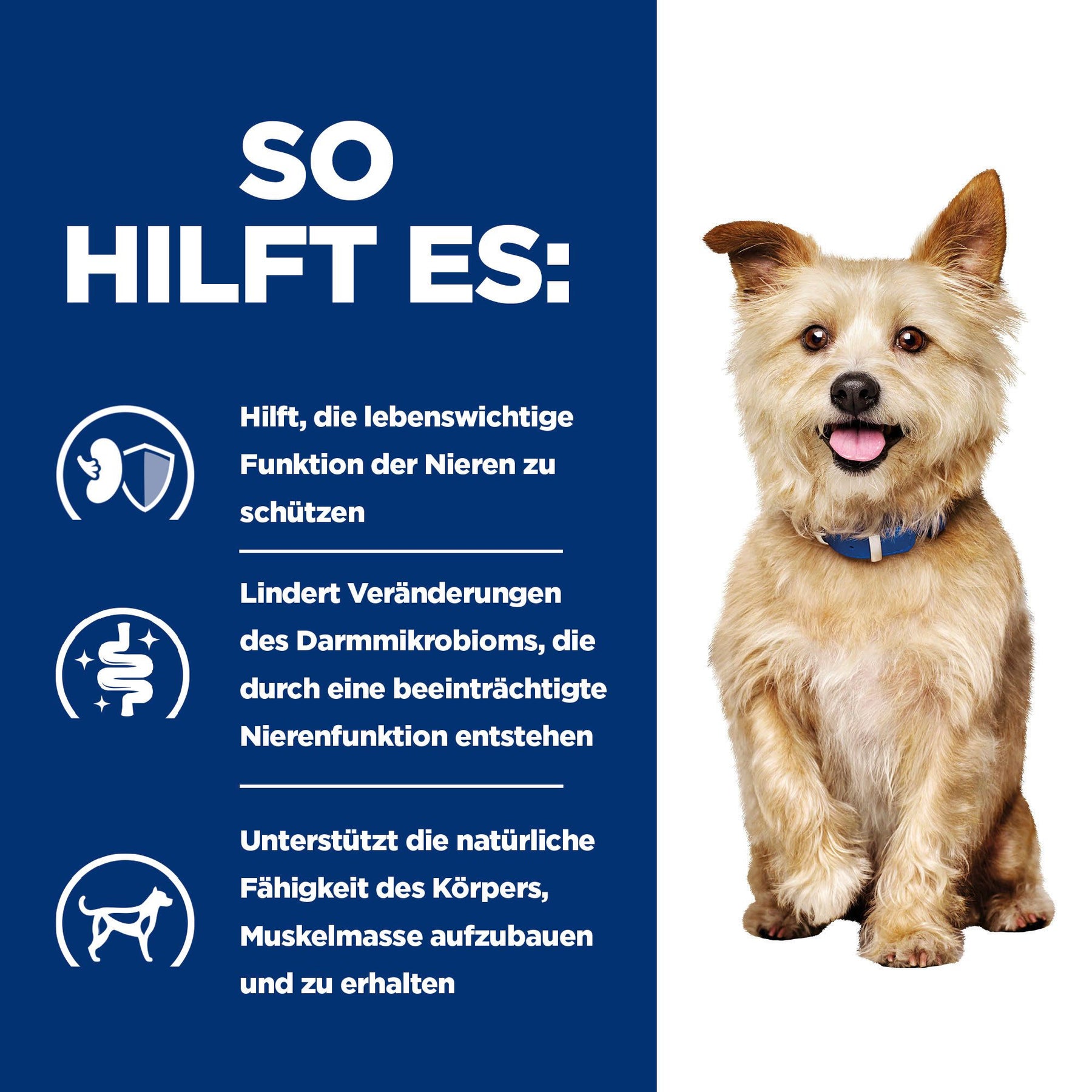 k/d Trockenfutter für Hunde Original How It Helps