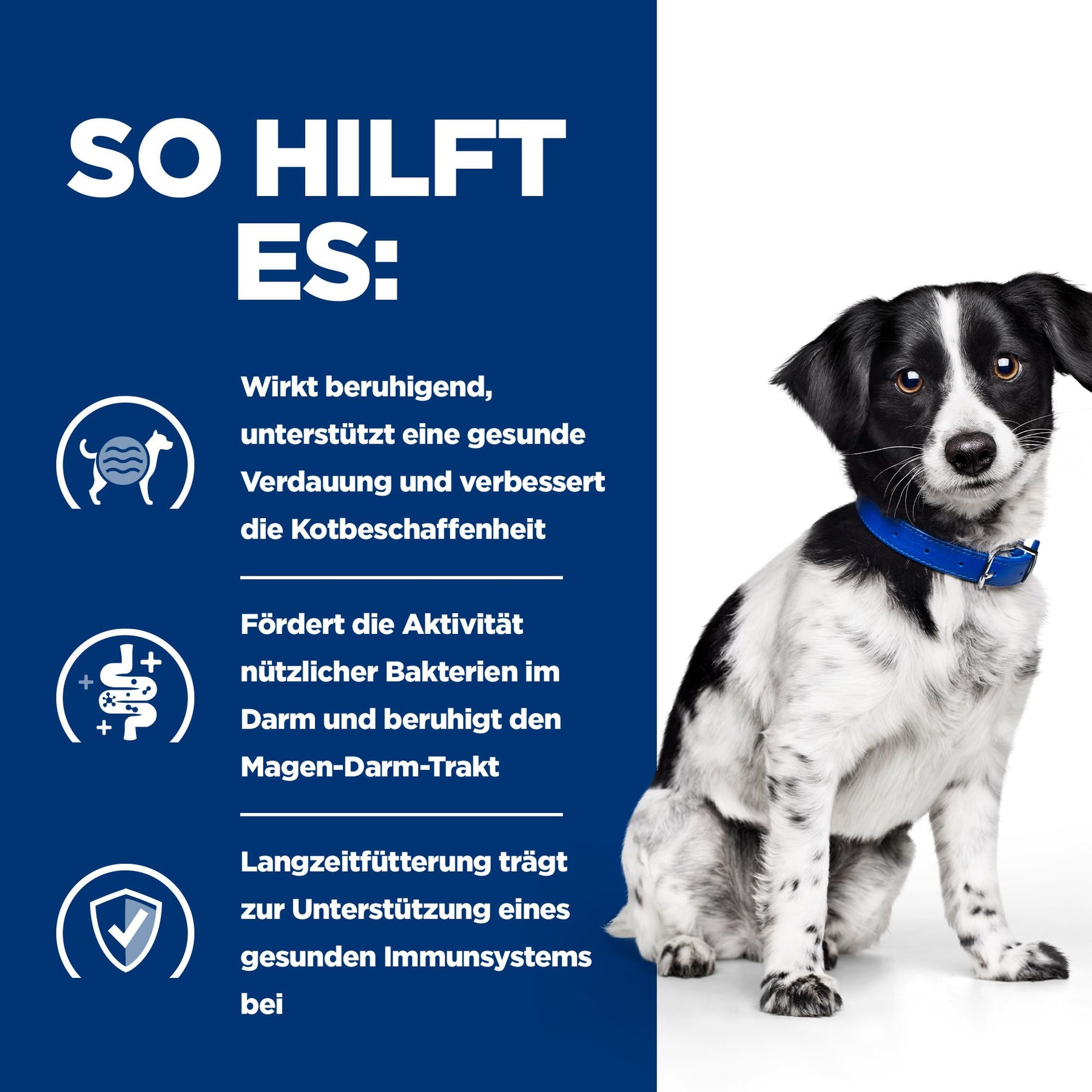 i/d Stress Mini Hundefutter Huhn How It Helps