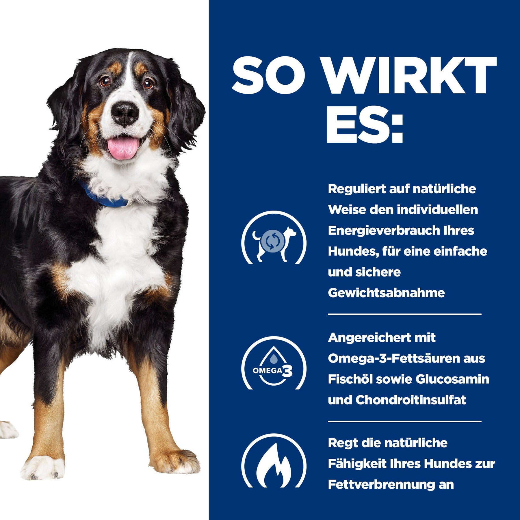Metabolic + Mobility Nassfutter für Hunde Original How It Helps