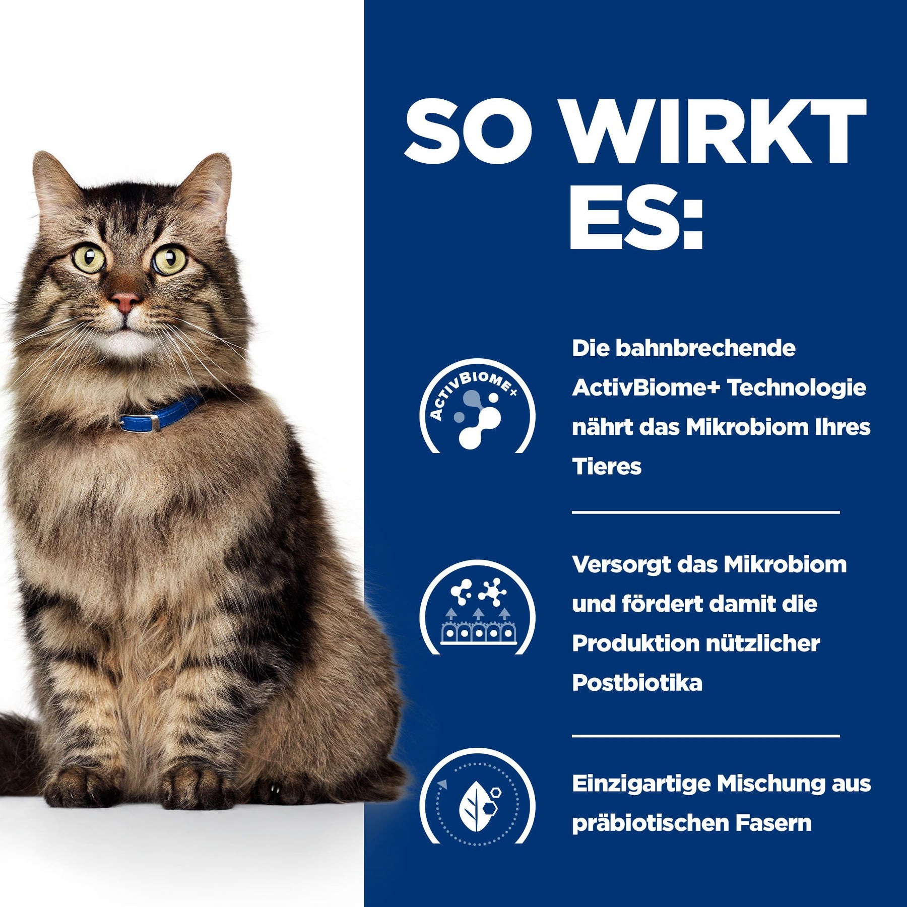 Gastrointestinal Biome Katzenfutter How It Works
