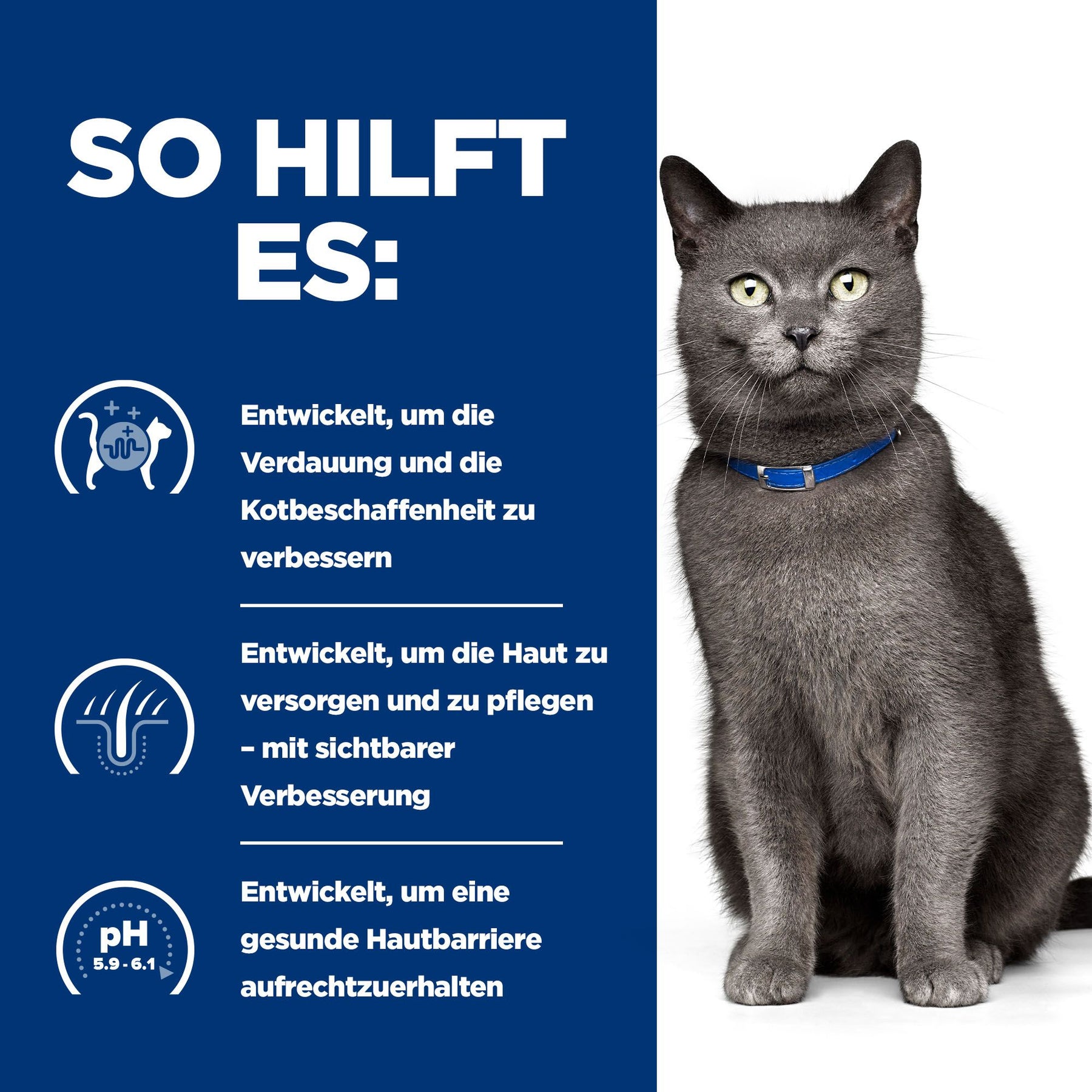 d/d Katzenfutter mit Ente & Erbsen How It Helps