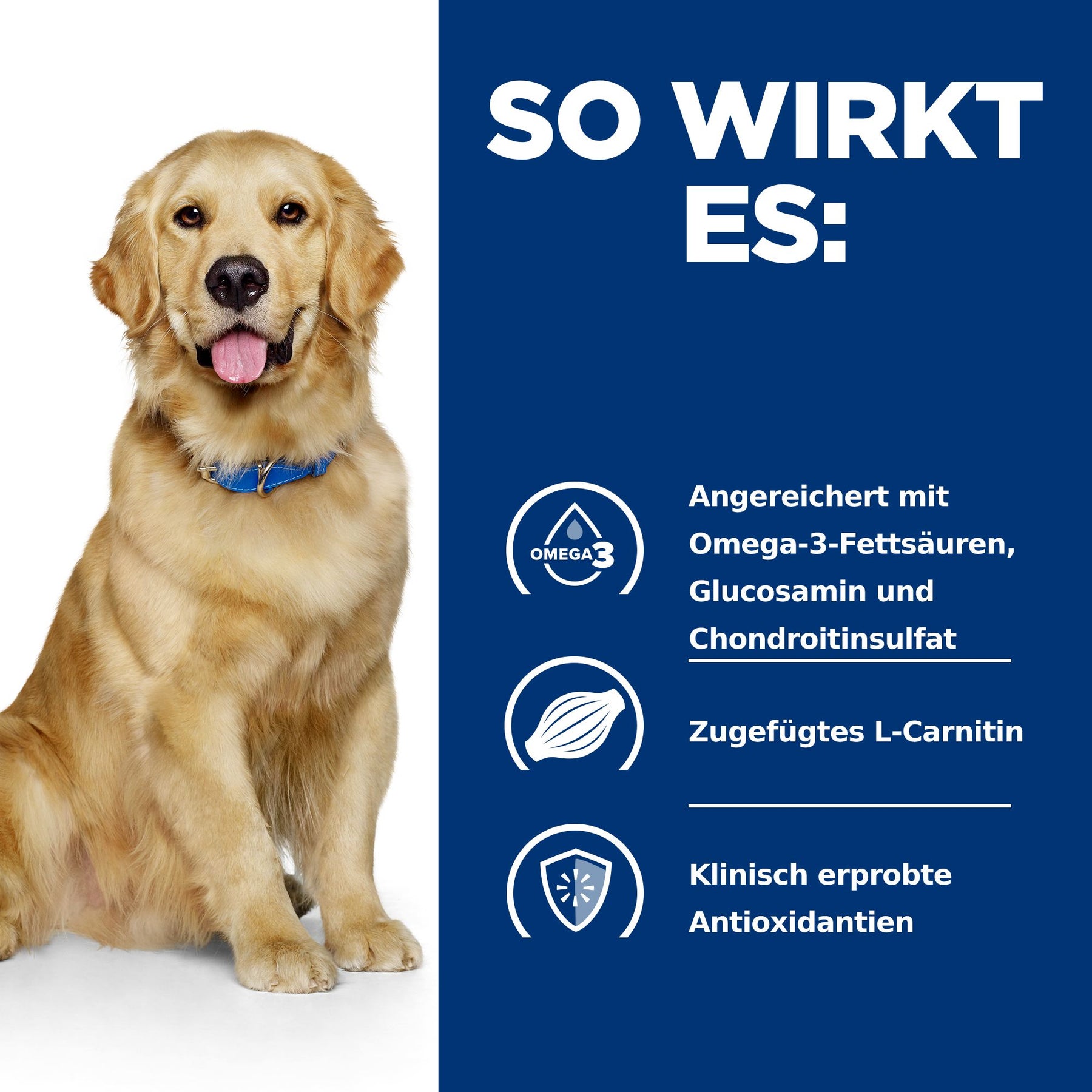 j/d Reduced Calorie Hundefutter Huhn How It Helps