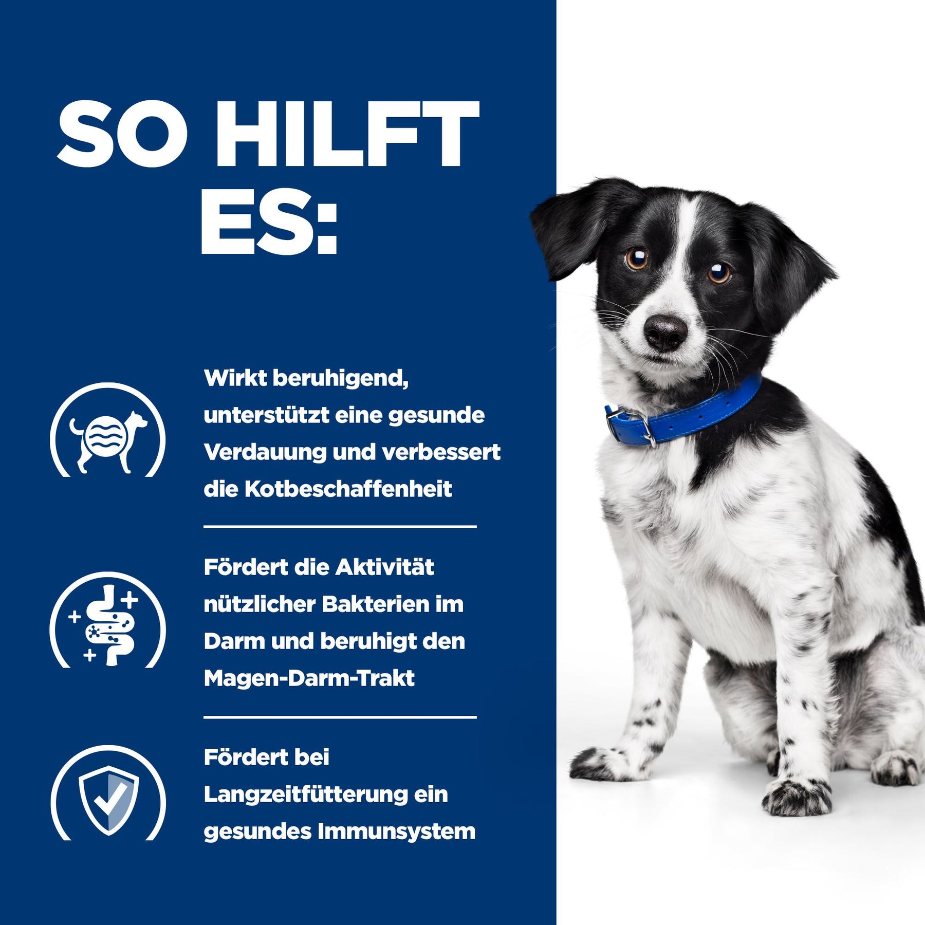 i/d Stress Mini Nassfutter für Hunde How It Helps