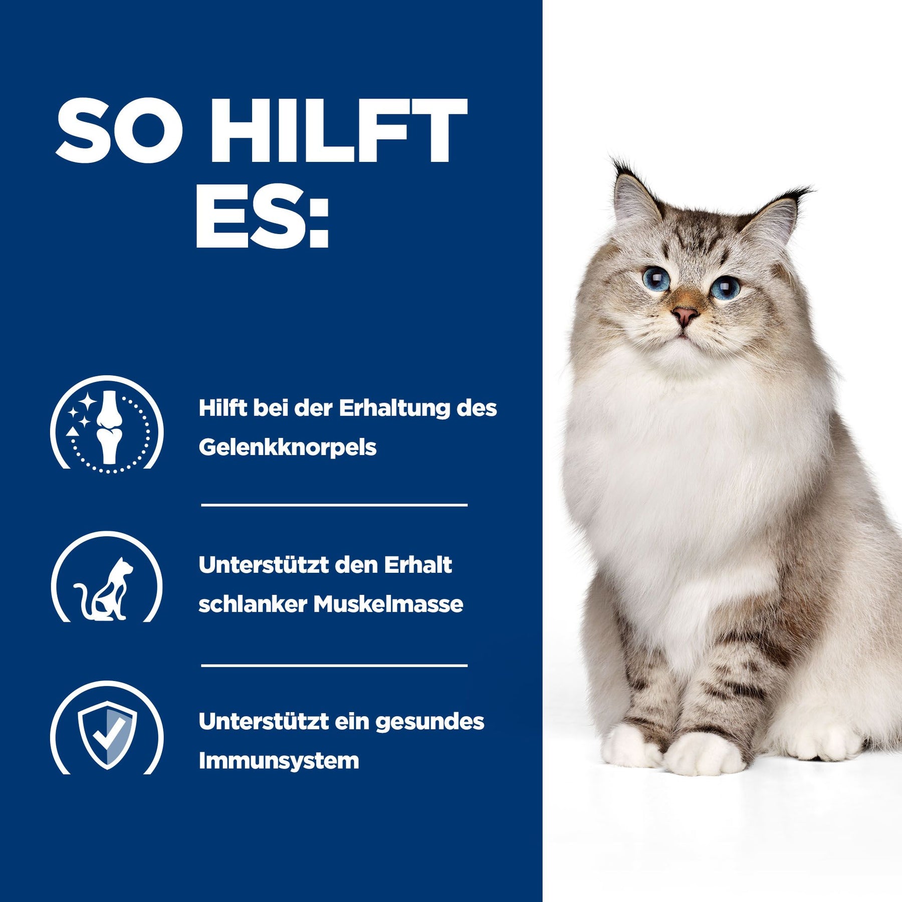 j/d Katzen Trockenfutter mit Huhn How It Helps