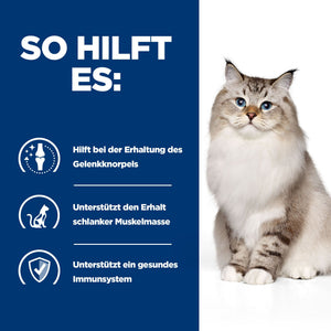 j/d Katzen Trockenfutter mit Huhn How It Helps