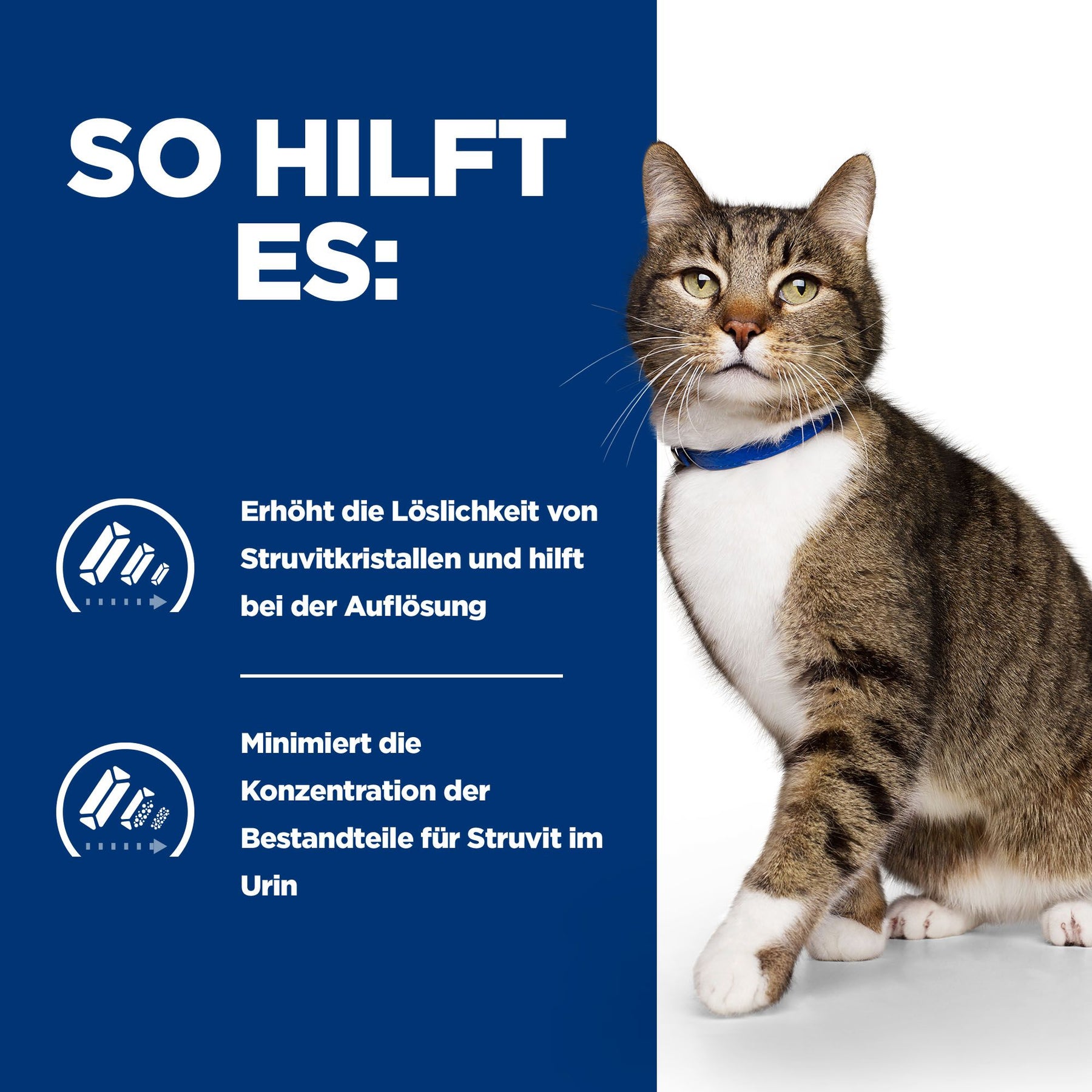 s/d Katzen Trockenfutter mit Huhn How It Helps