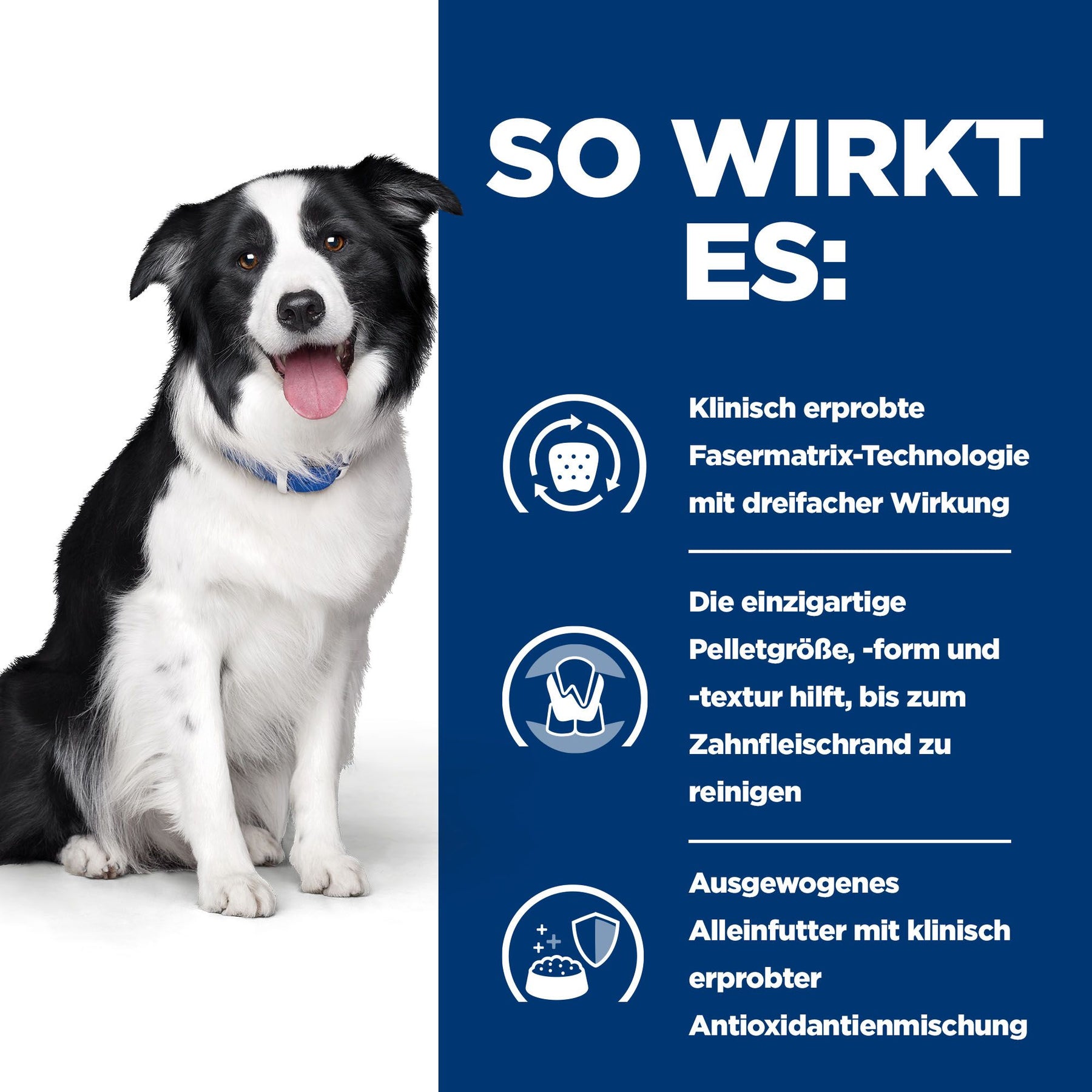 t/d Trockenfutter für Hunde mit Huhn How It Works