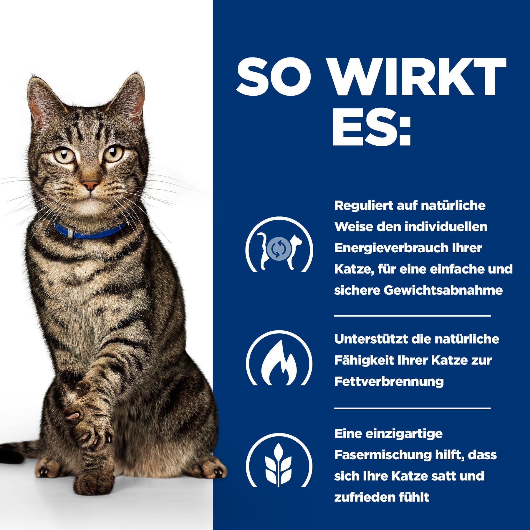 Metabolic Nassfutter für Katzen How It Helps