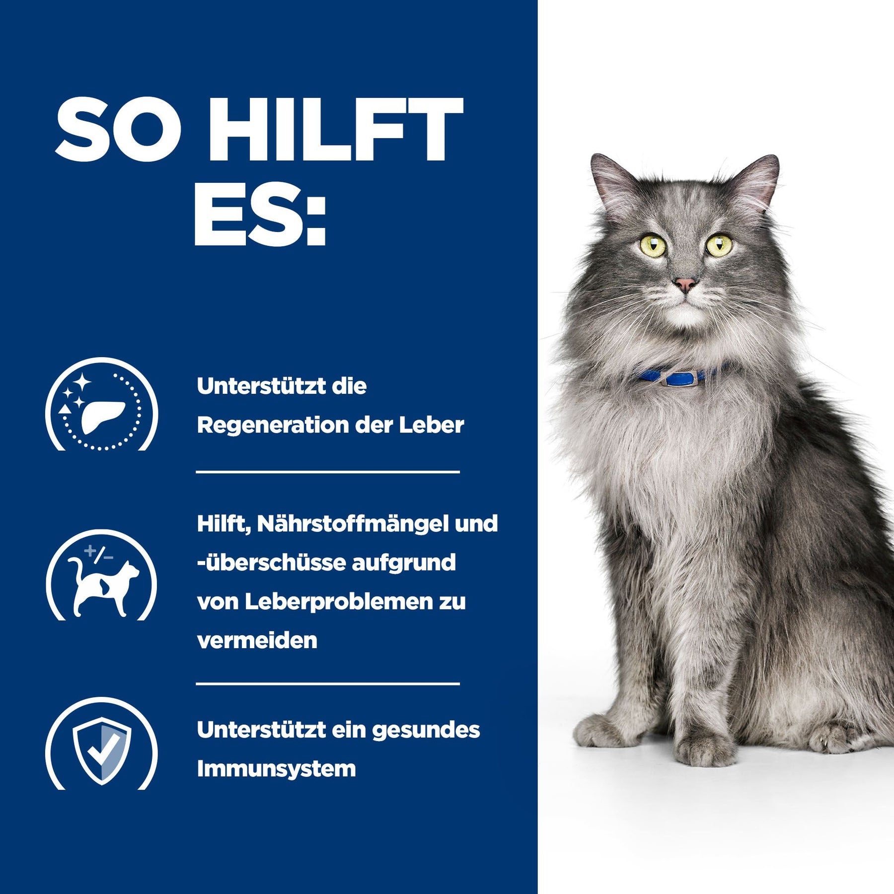 l/d Katzen Trockenfutter mit Huhn How It Helps