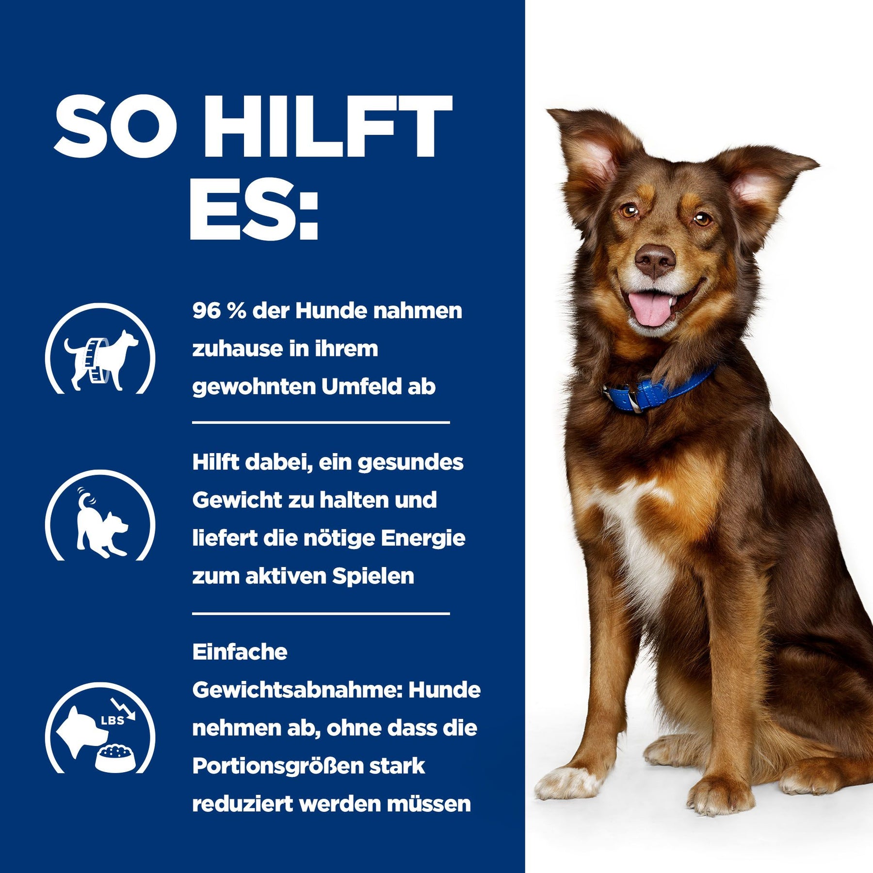 Metabolic Hunde Trockenfutter Lamm How It Helps