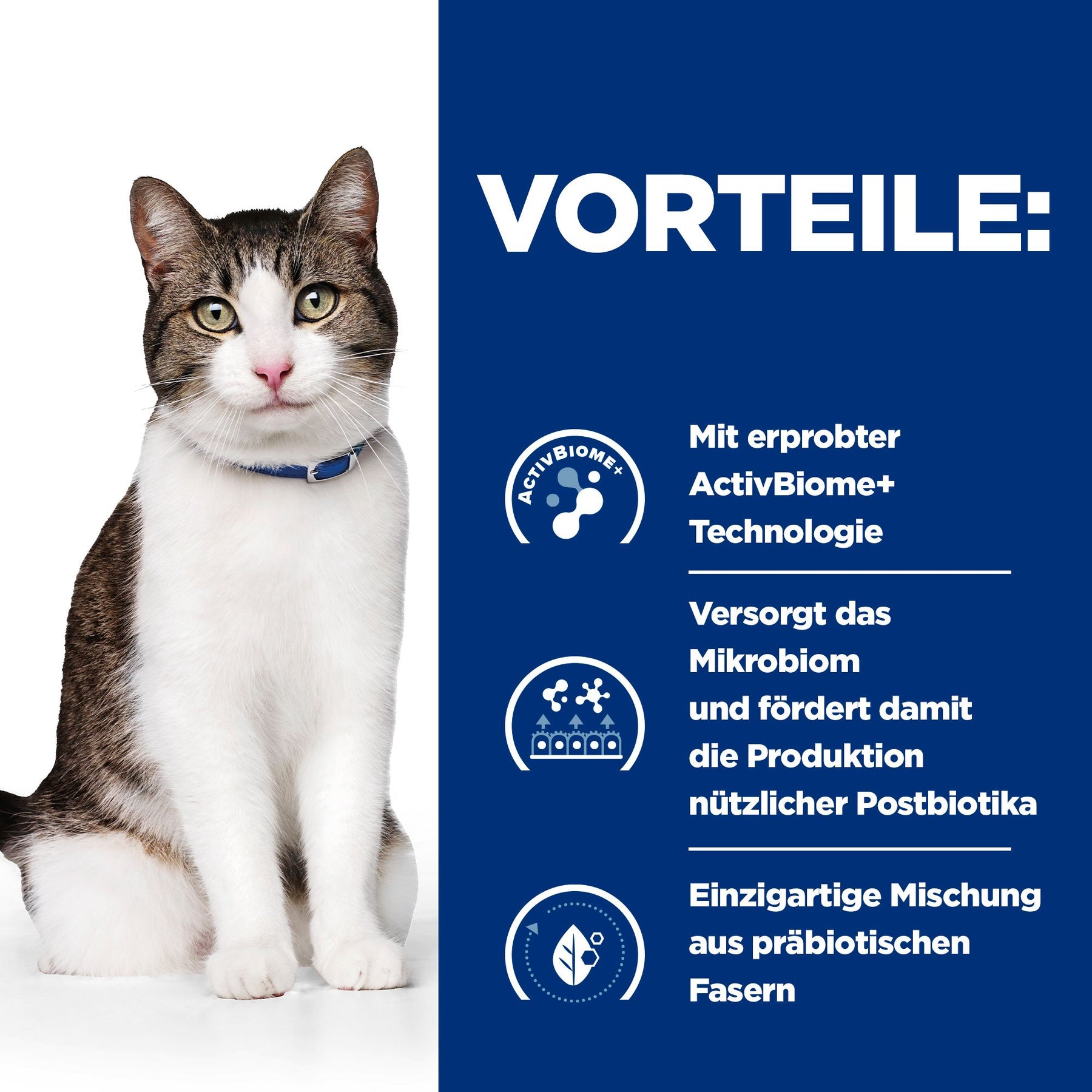 Gastrointestinal Biome Stress Katzenfutter mit Huhn How It Works