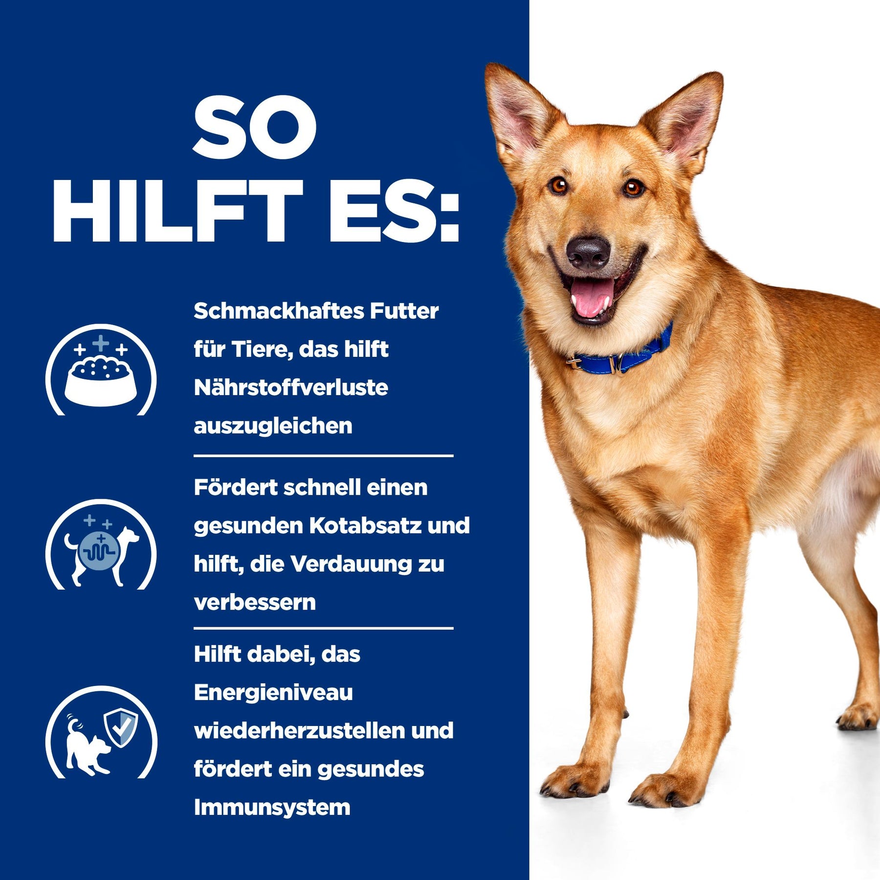 i/d Hundefutter How It Helps