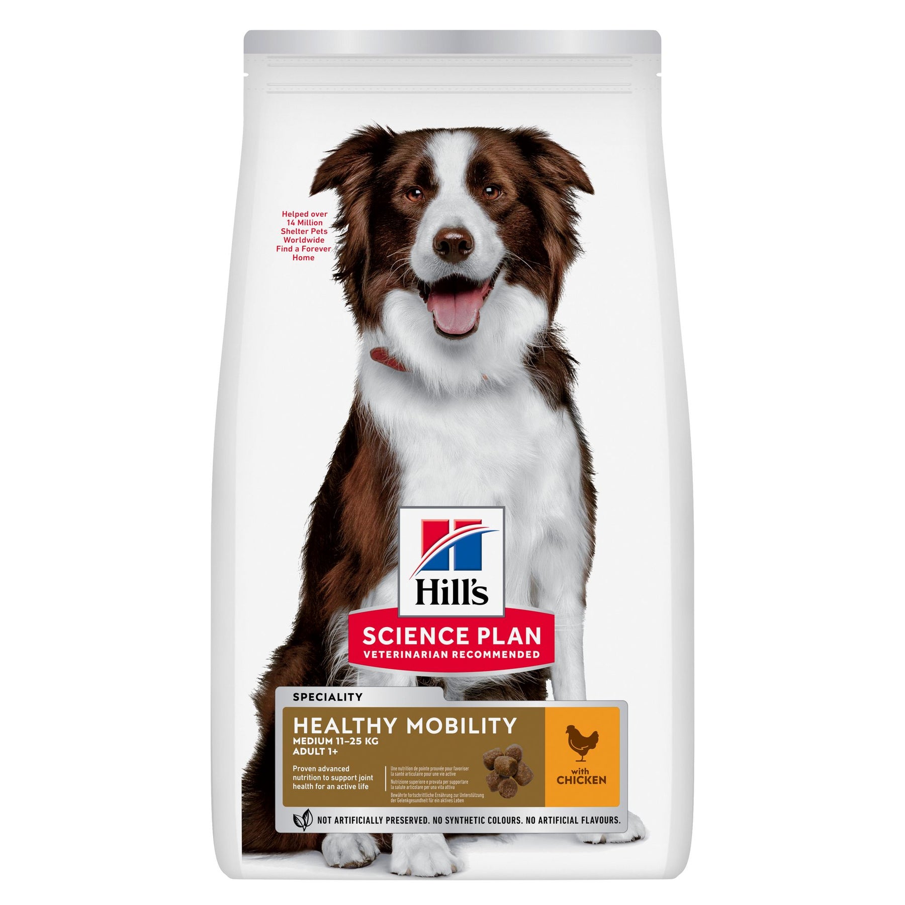 Healthy Mobility Medium Adult Hundefutter Packshot