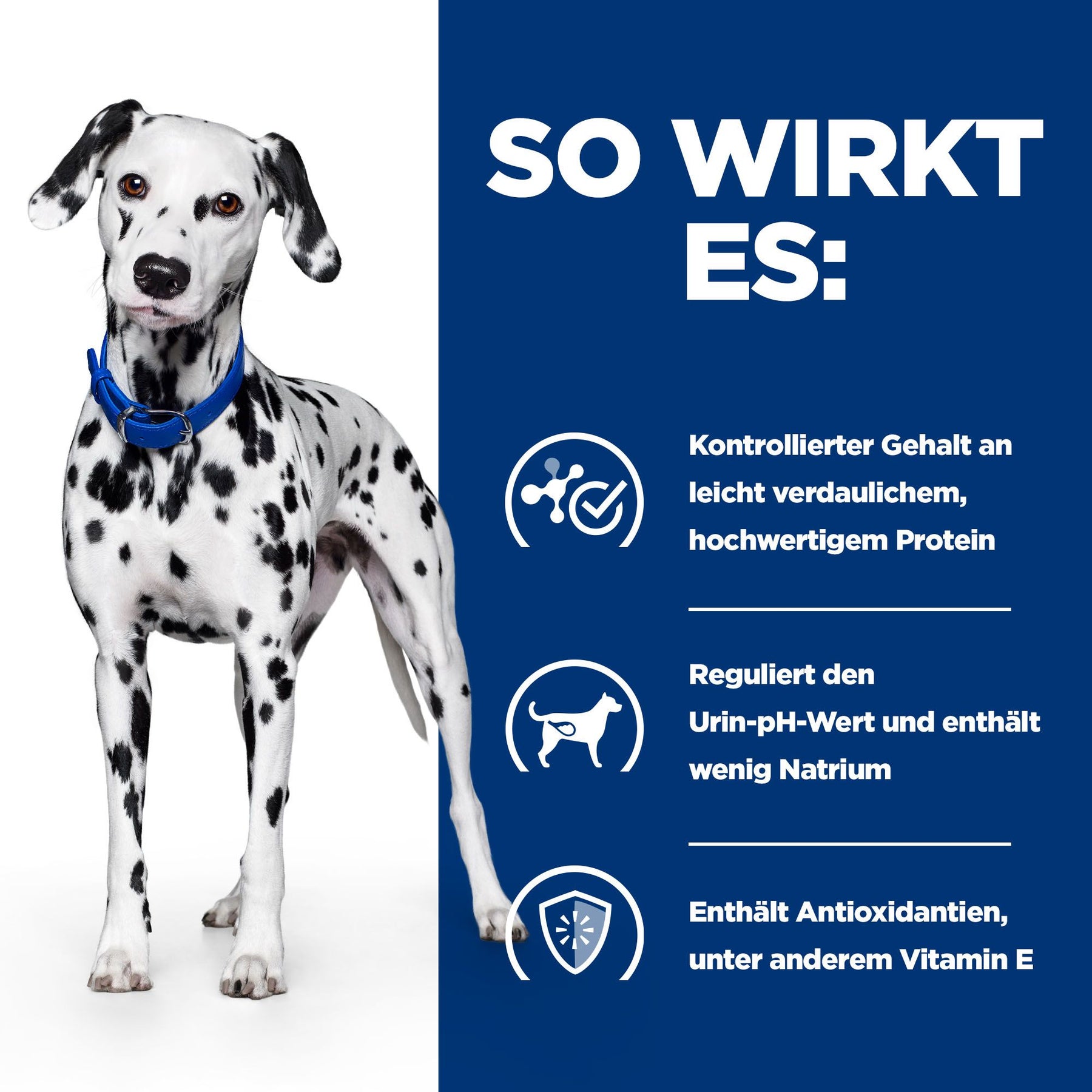 u/d Nassfutter für Hunde Original How It Works