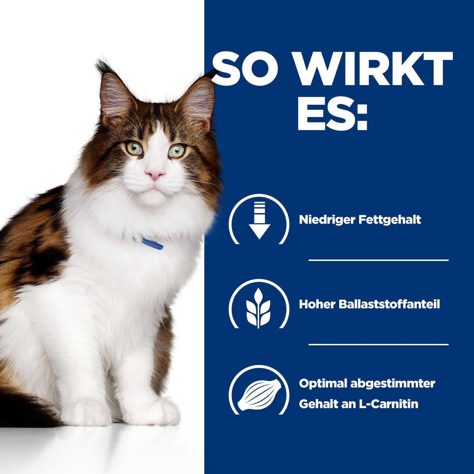 w/d Multi-Benefit Katzen Nassfutter How It Helps