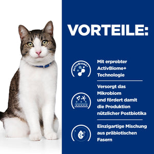 Gastrointestinal Biome Katzen Ragout How It Works
