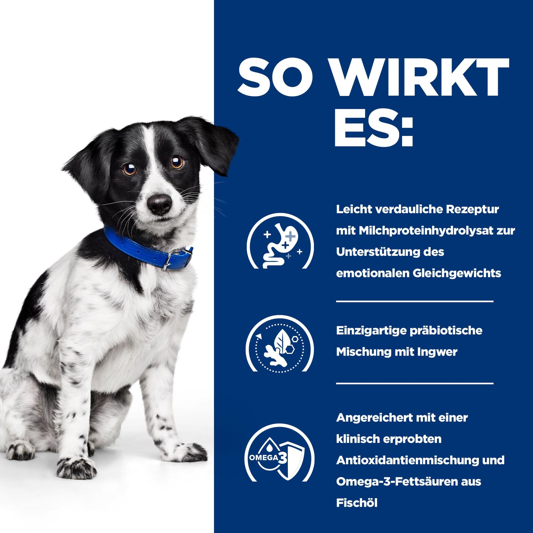 i/d Stress Mini Hundefutter Huhn How It Works