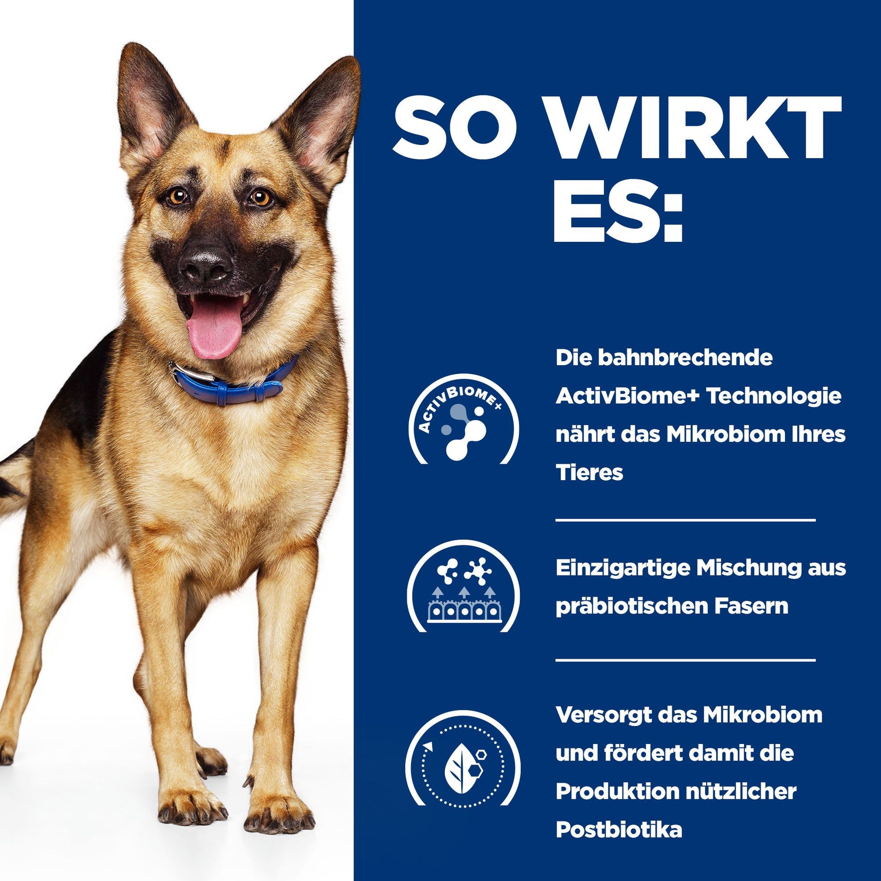 Gastrointestinal Biome Hunde Ragout How It Works