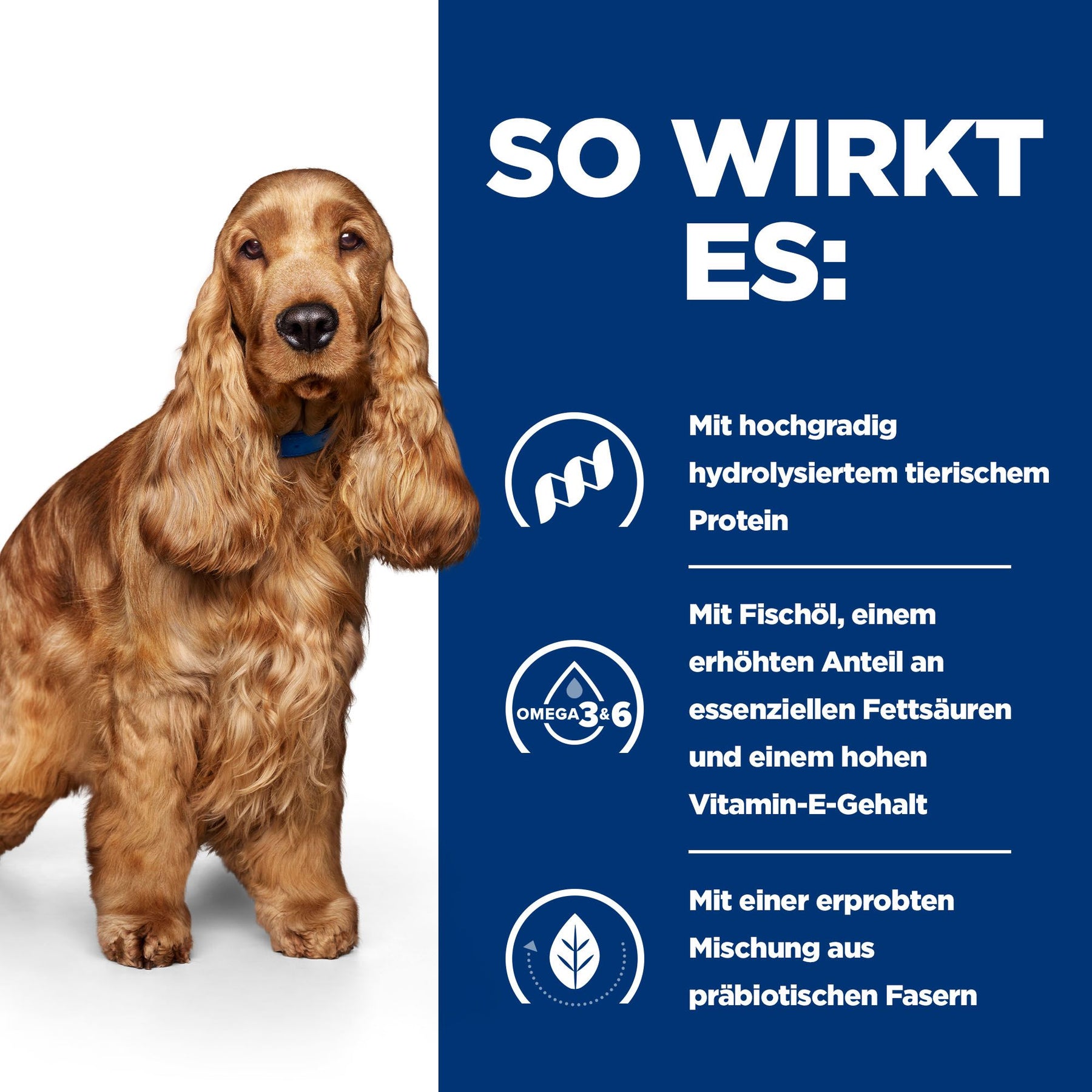 z/d Trockenfutter für Hunde Original How It Works