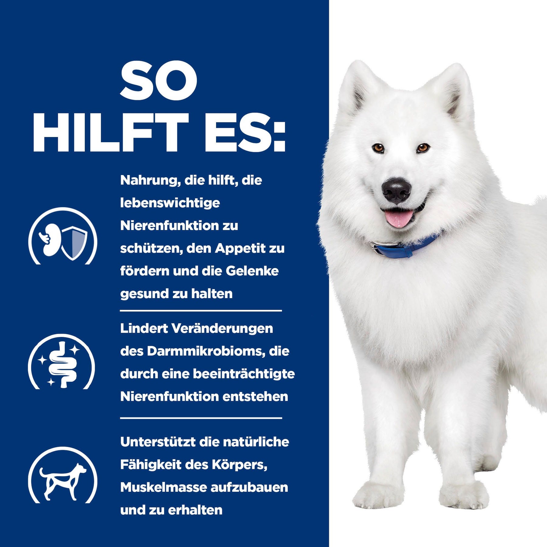 k/d + Mobility Hundefutter Original How It Helps