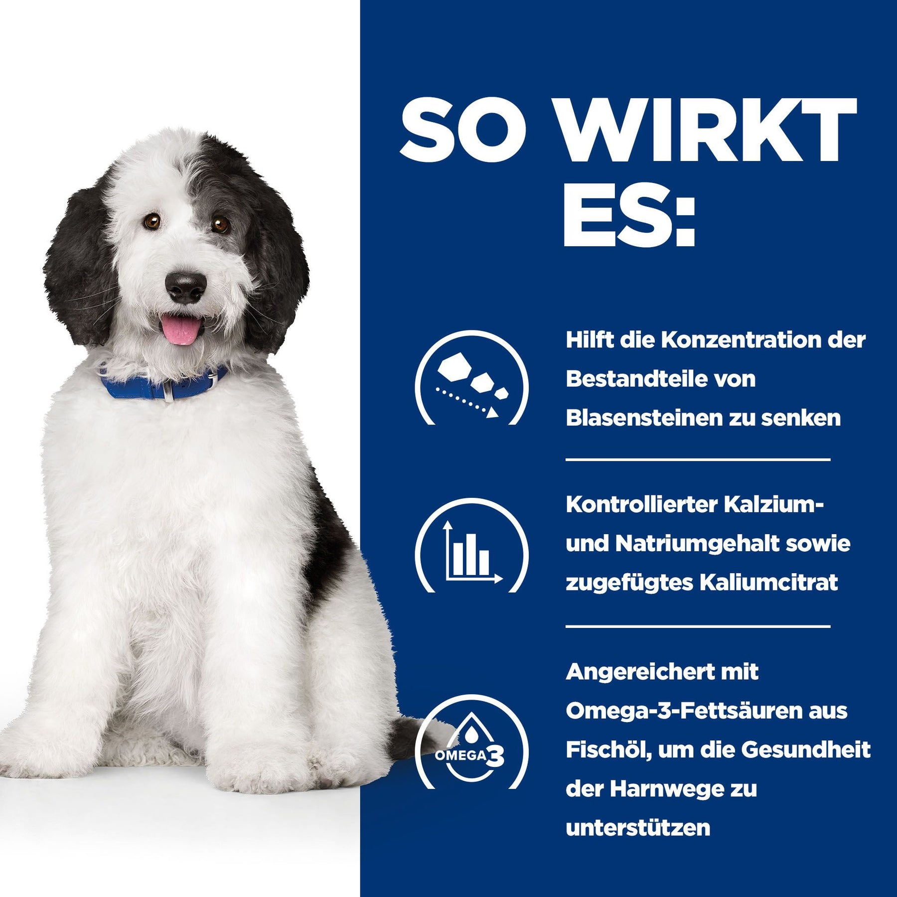 c/d Multicare Hunde Nassfutter Huhn How It Works