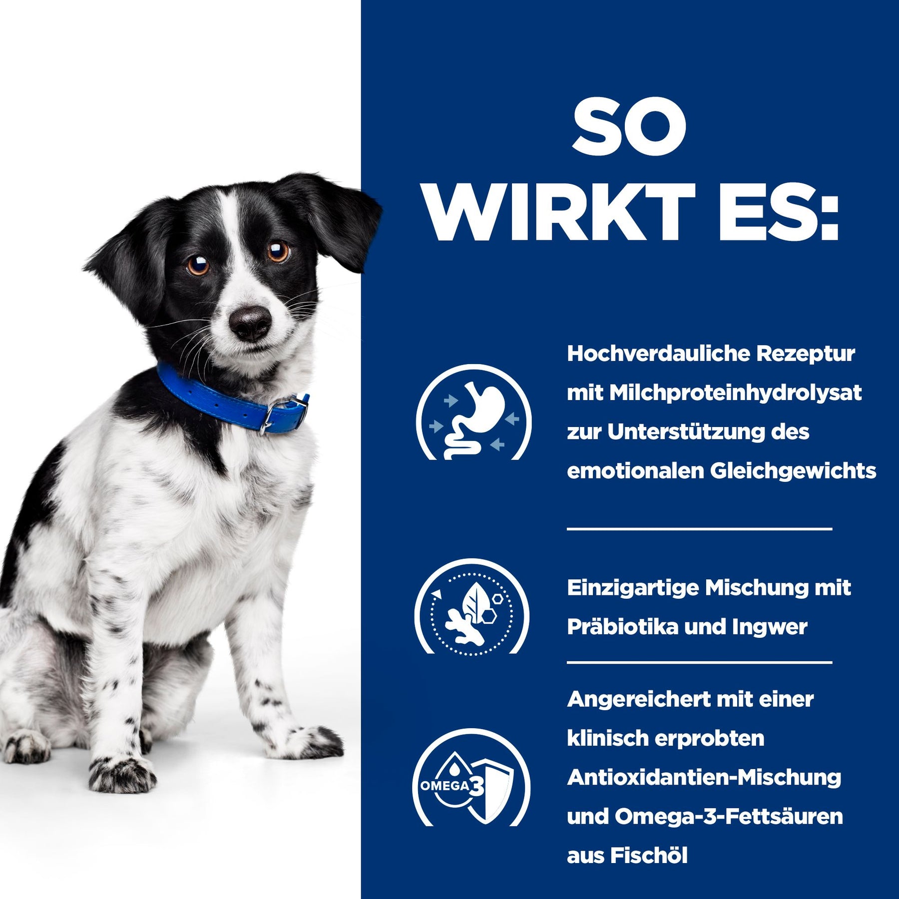 i/d Stress Mini Nassfutter für Hunde How It Works
