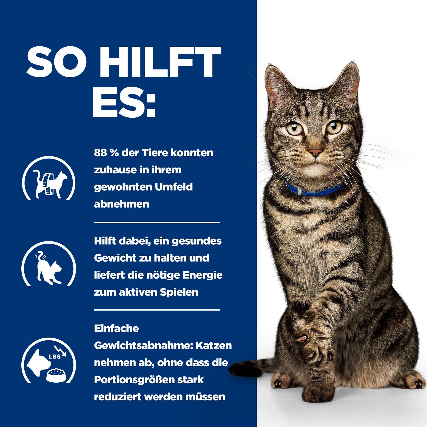 Metabolic Katzen Nassfutter mit Huhn How It Helps