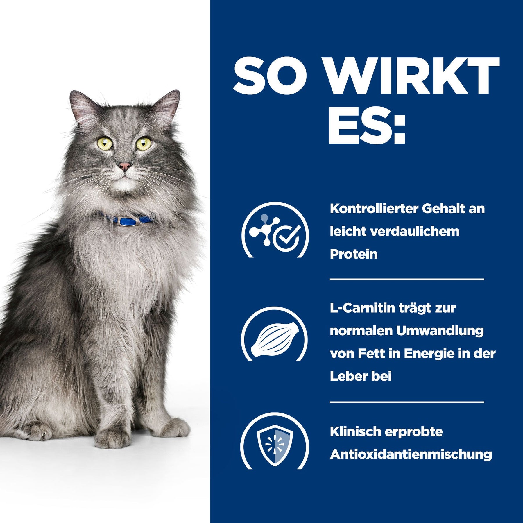 l/d Katzen Trockenfutter mit Huhn How It Works