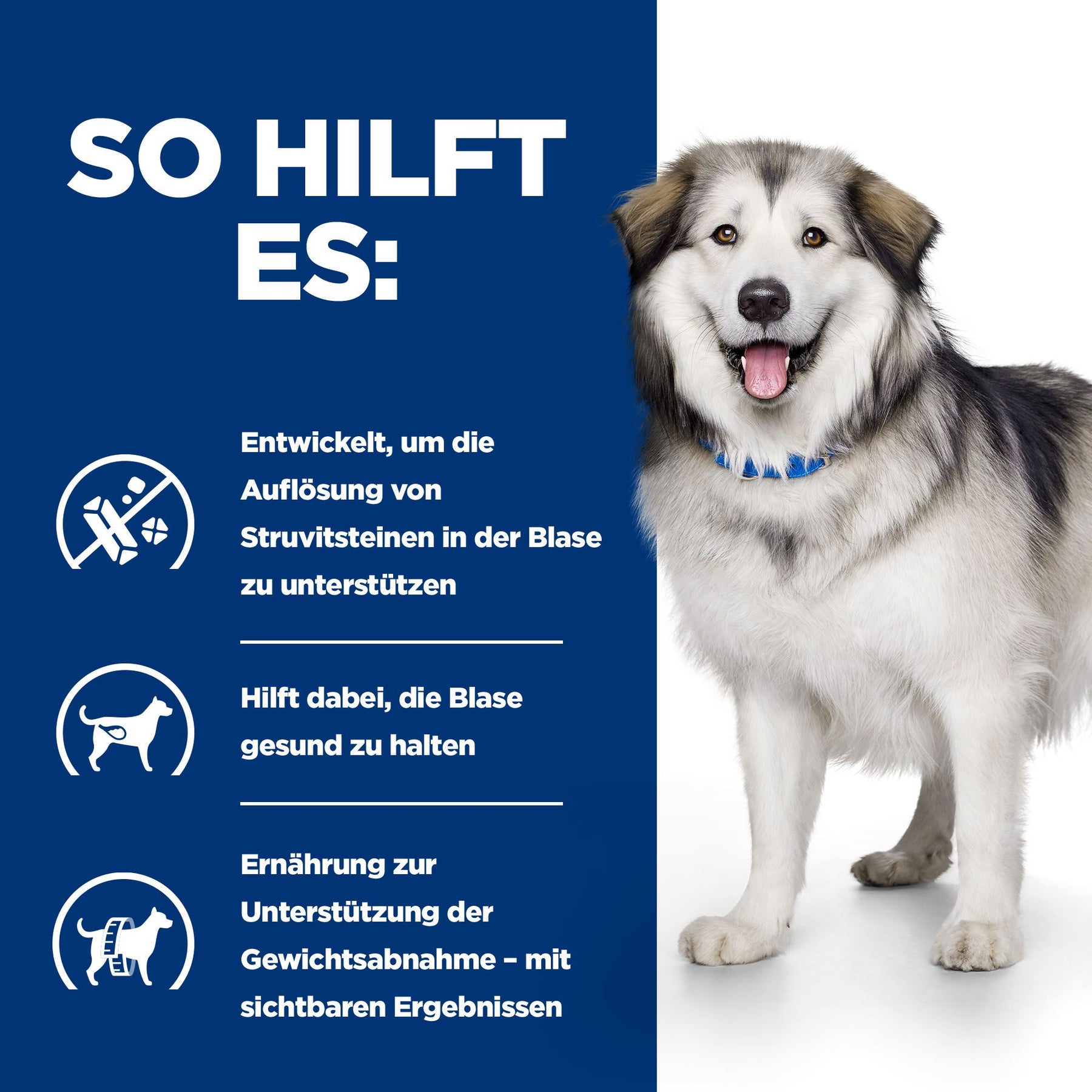 c/d Multicare+Metabolic Hundefutter How It Helps