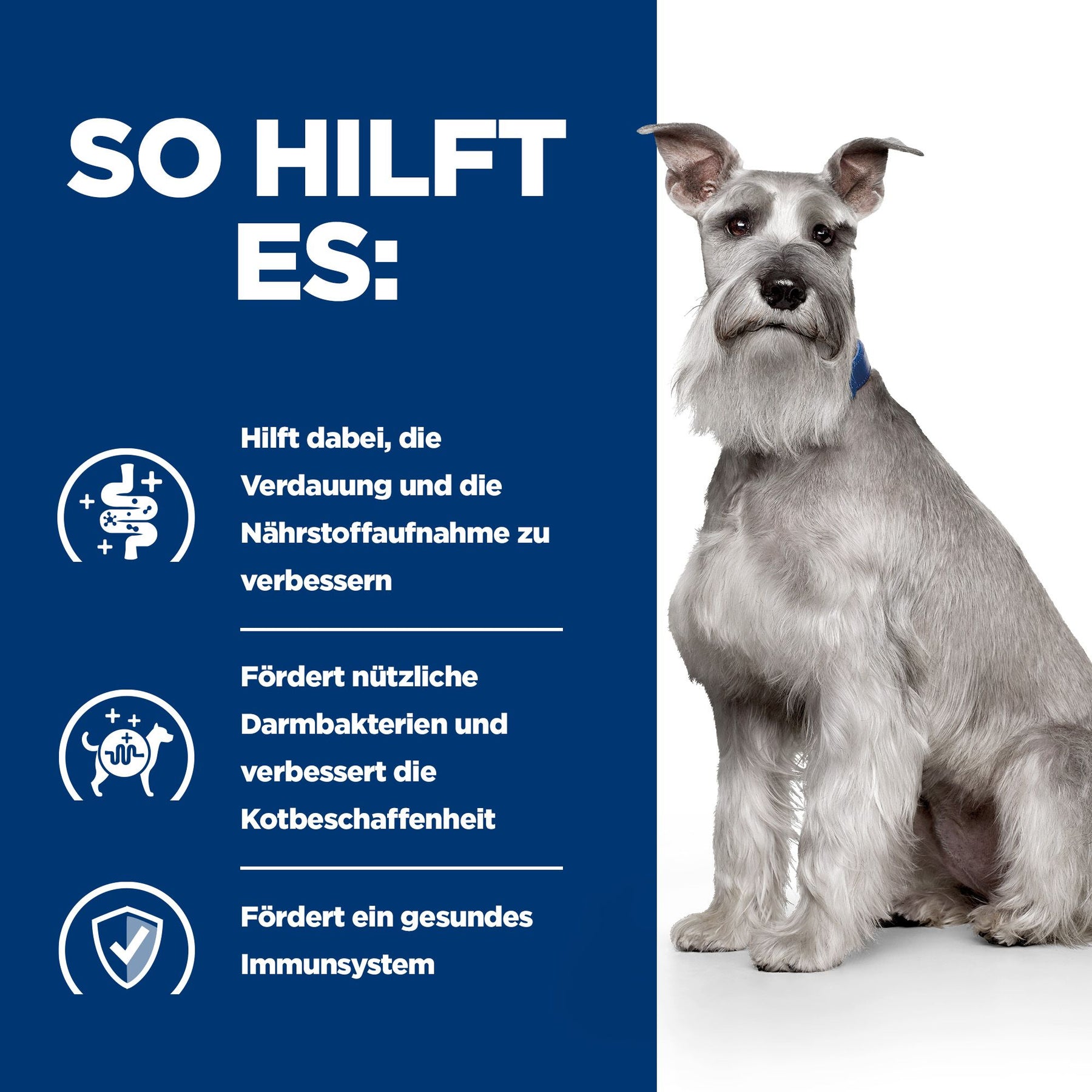 i/d Low Fat Original Hundefutter How It Helps