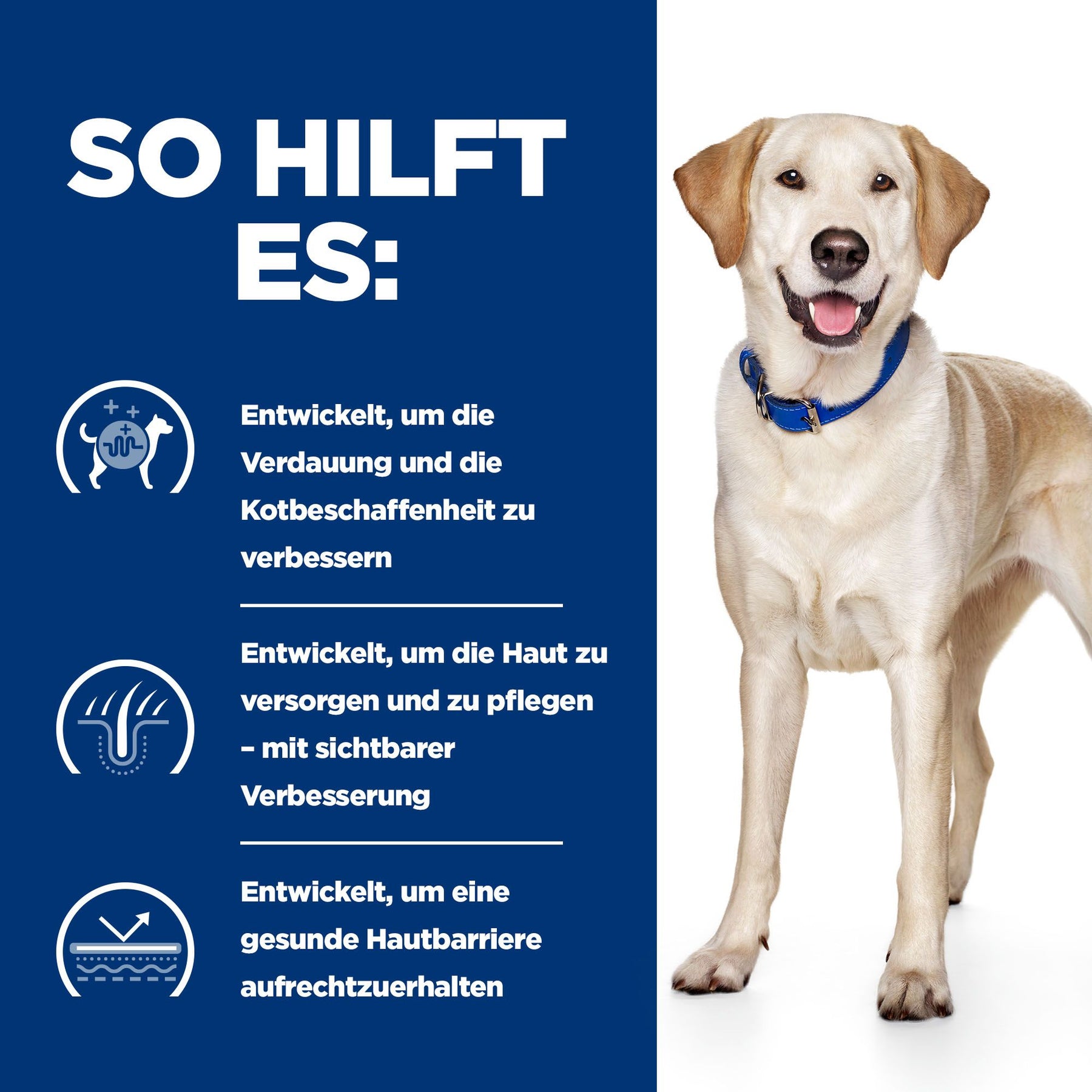 d/d Hunde Trockenfutter Ente & Reis How It Helps