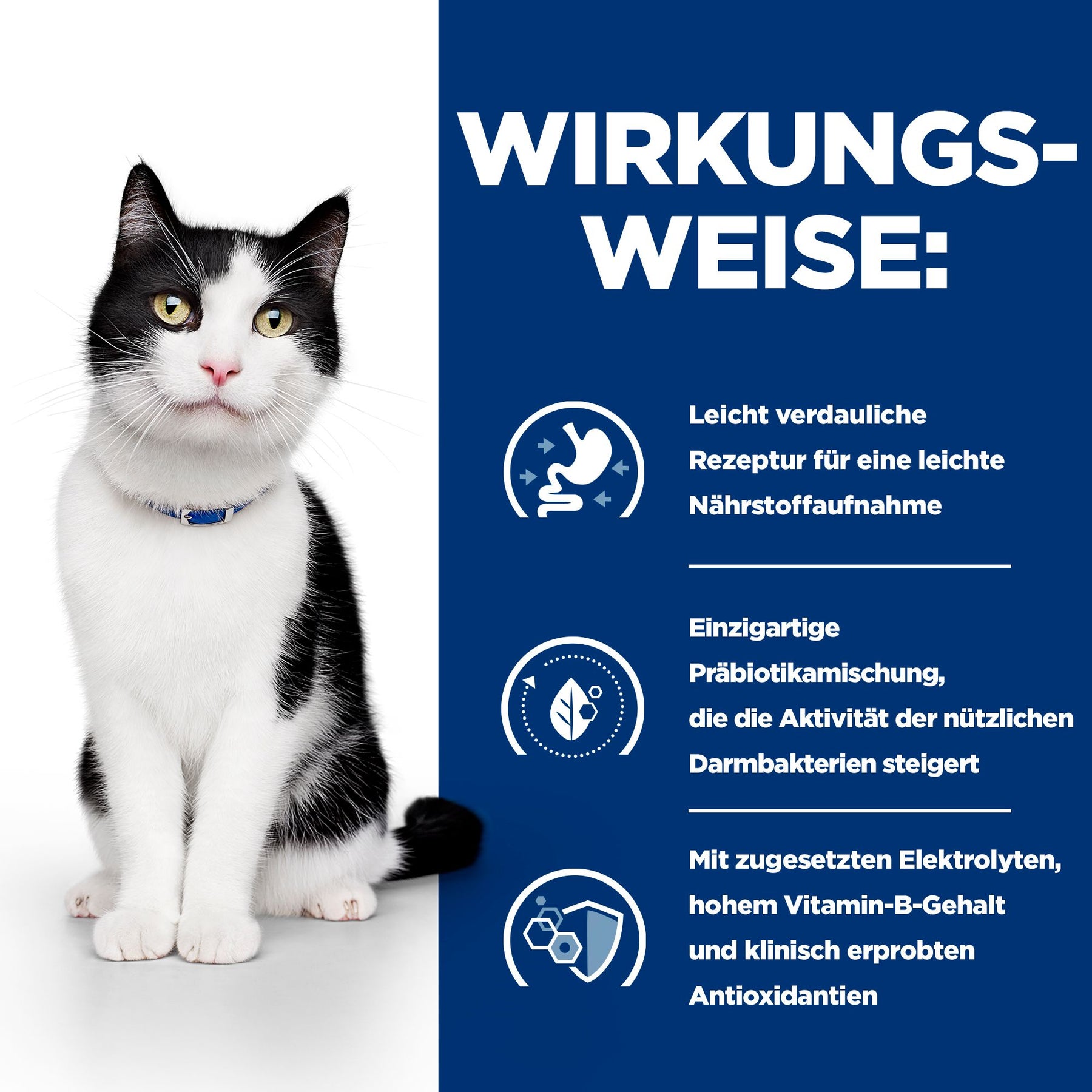 i/d Ragout für Katzen How It Works