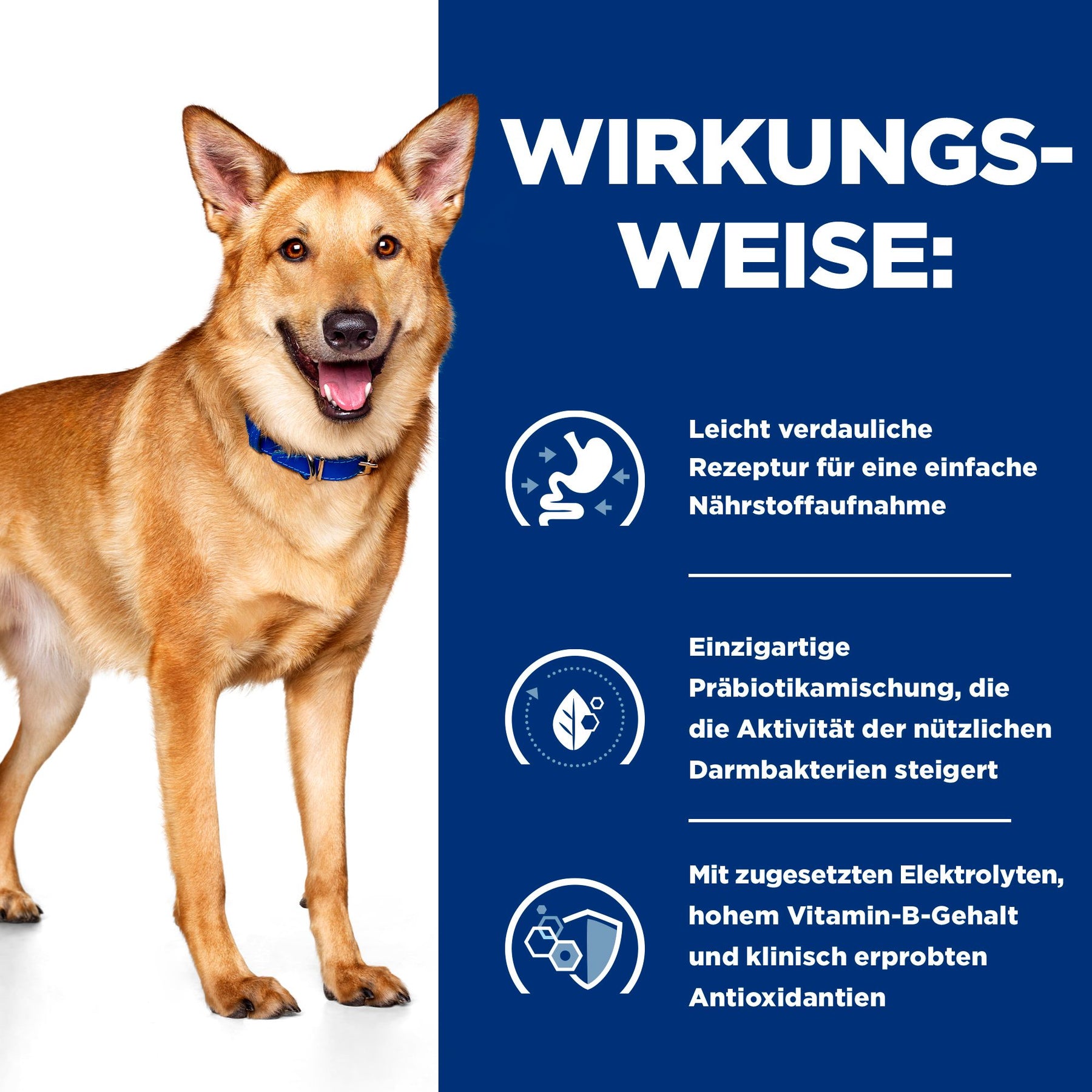 i/d Hundefutter How It Works