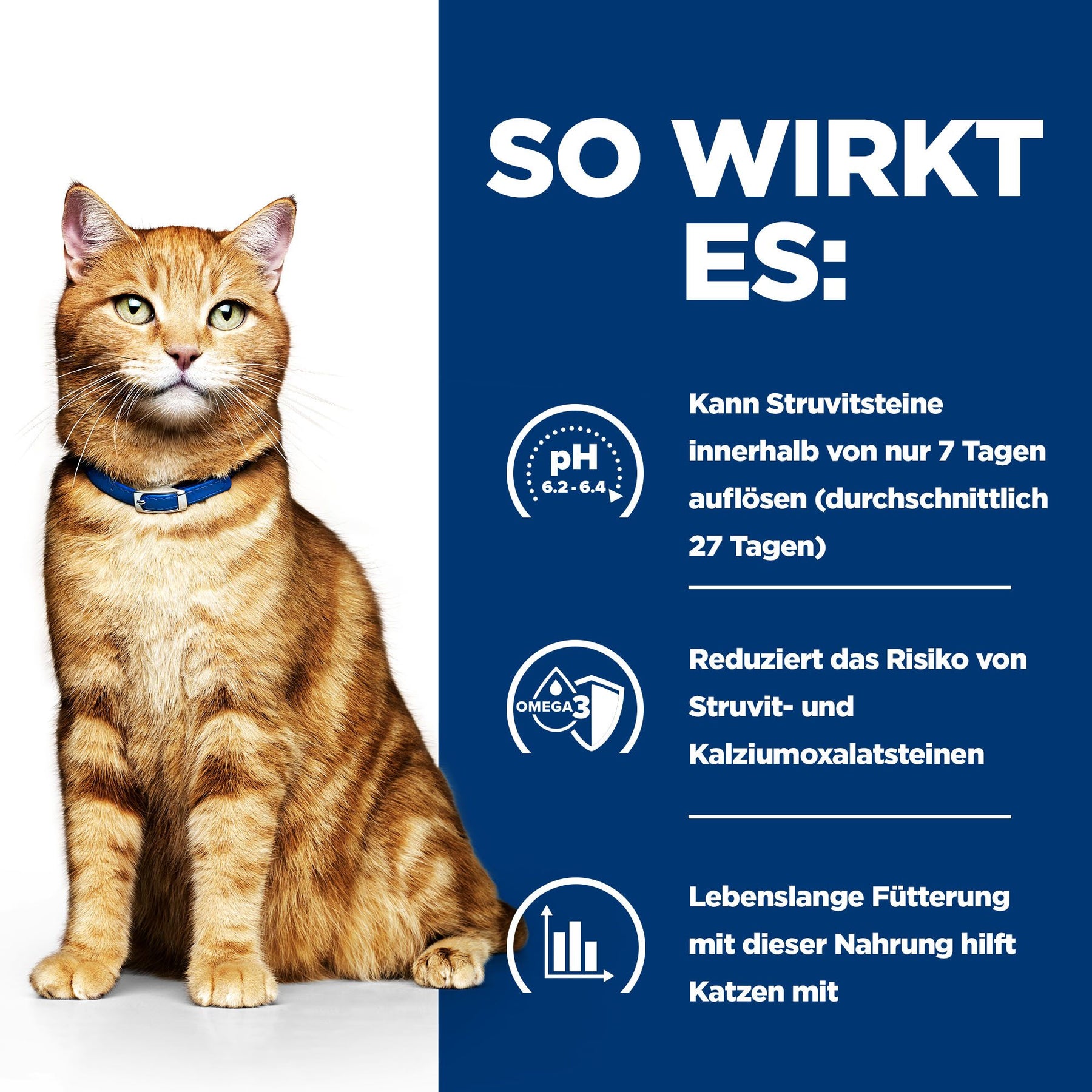 c/d Multicare Ragout für Katzen How It Works