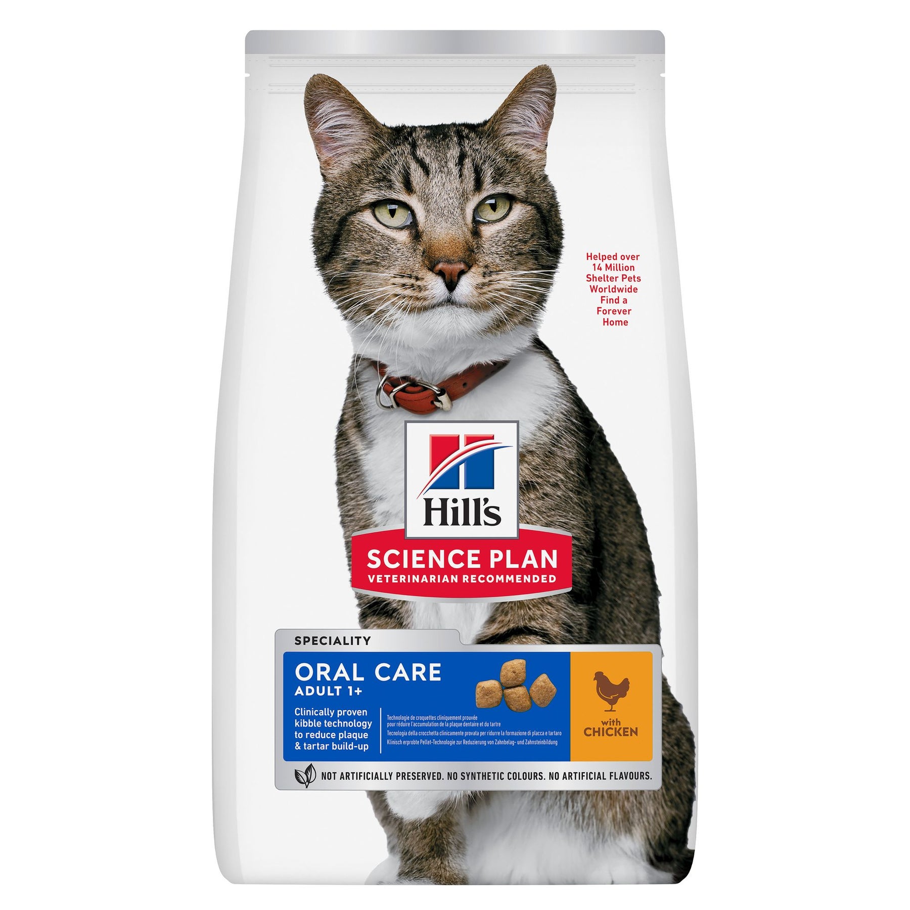 Oral Care Adult Katzenfutter mit Huhn Packshot