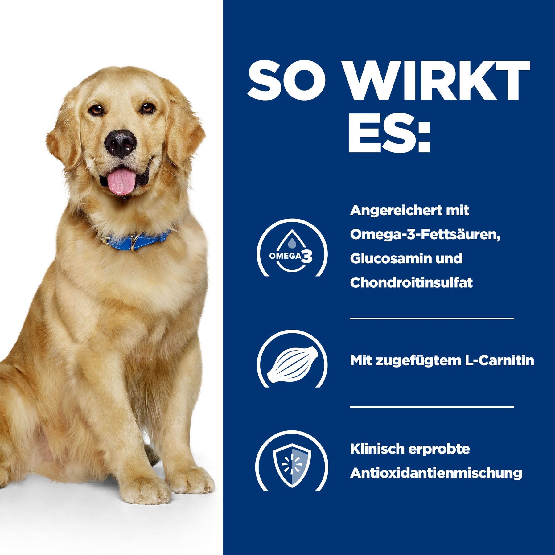 j/d Nassfutter für Hunde mit Huhn How It Works