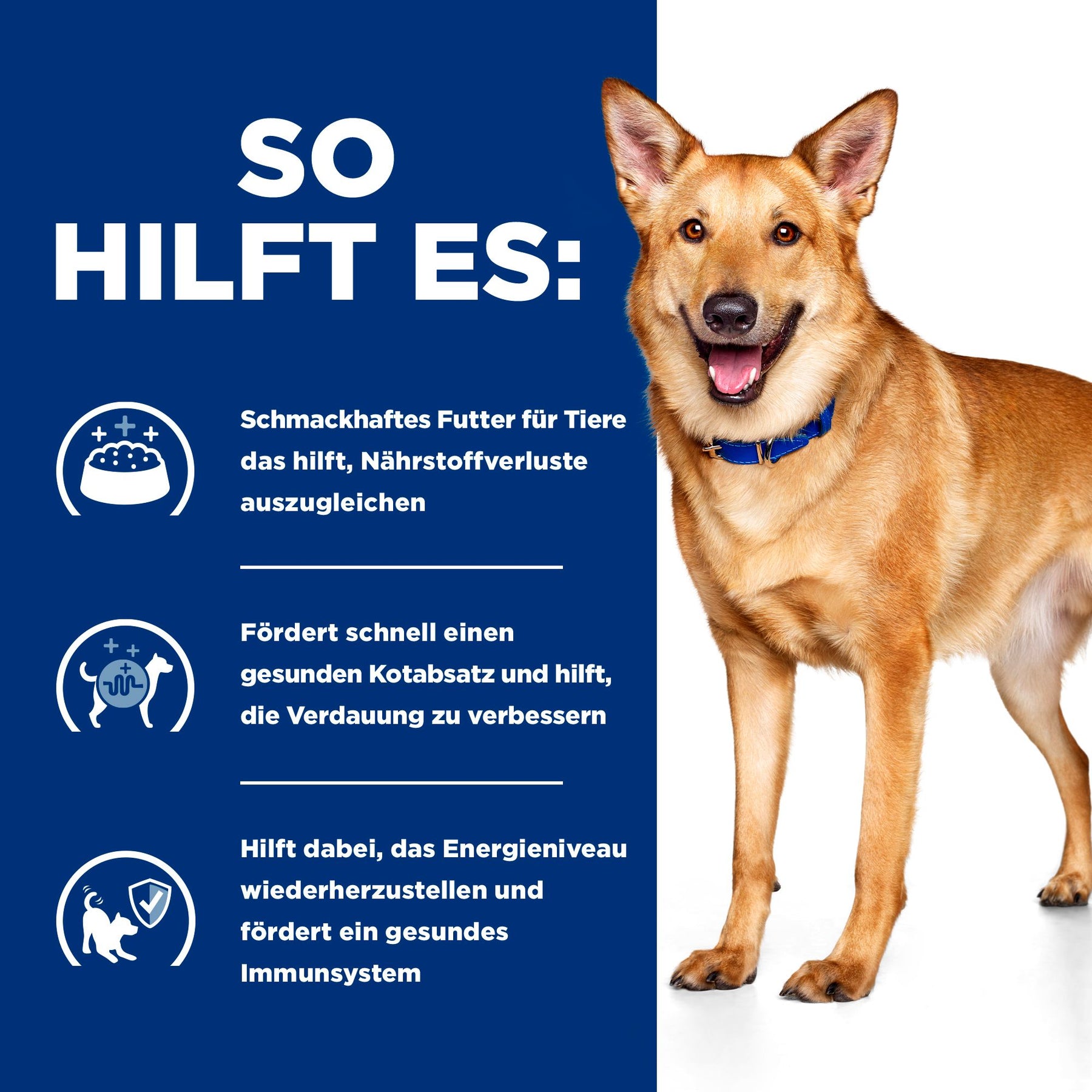 i/d Hundefutter How It Helps