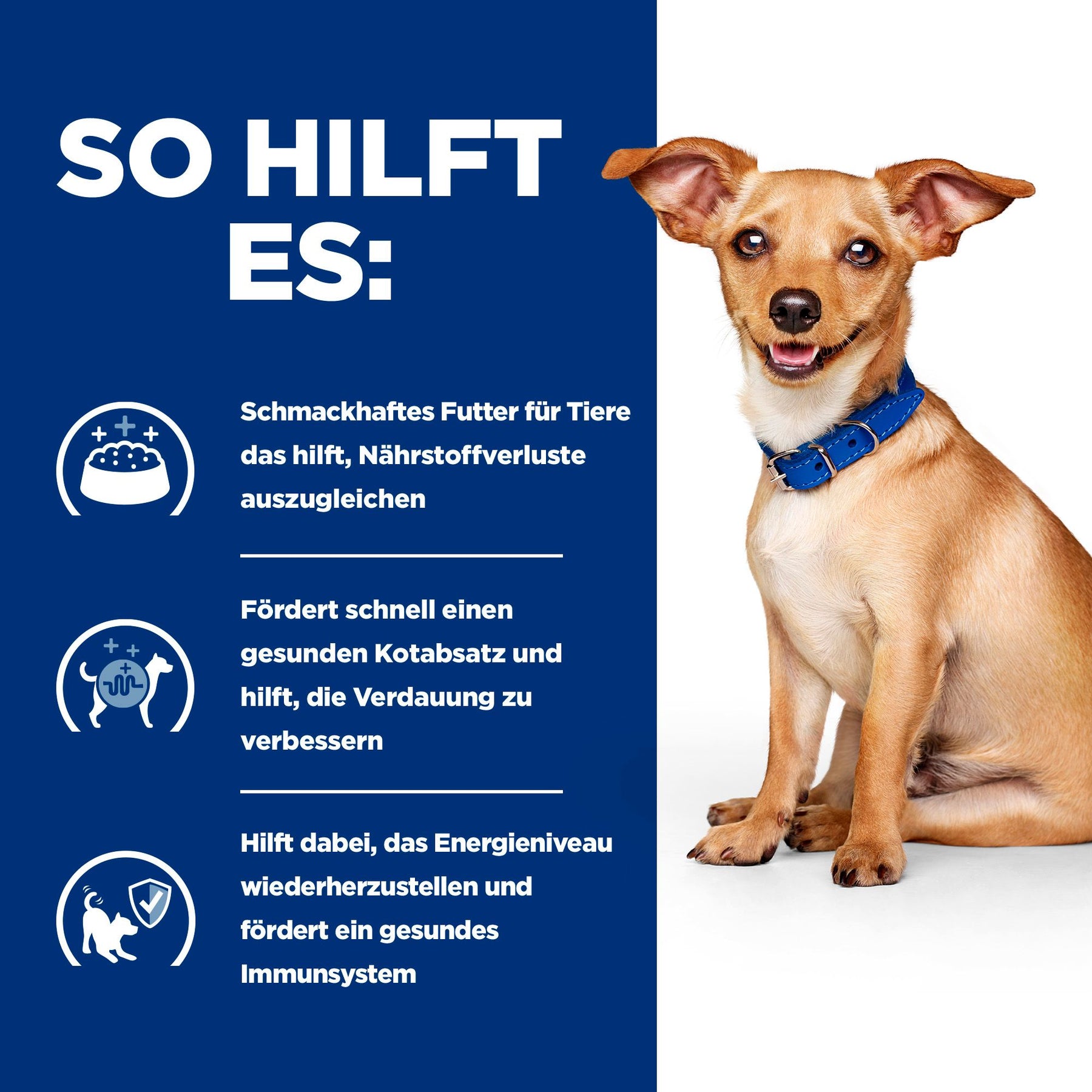 i/d Ragout für Hunde How It Helps