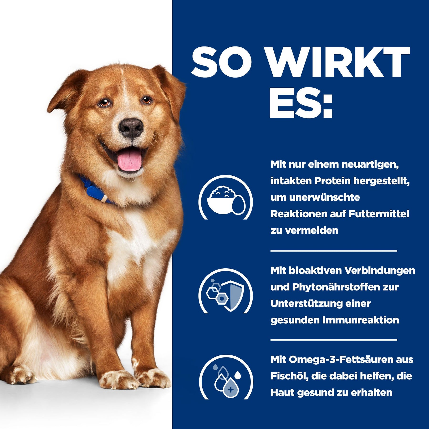 Derm Complete Nassfutter für Hunde How It Helps