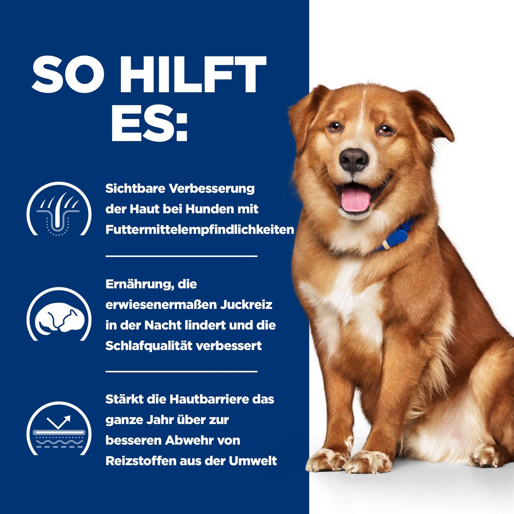 Derm Complete Hundefutter mit Ei How It Helps