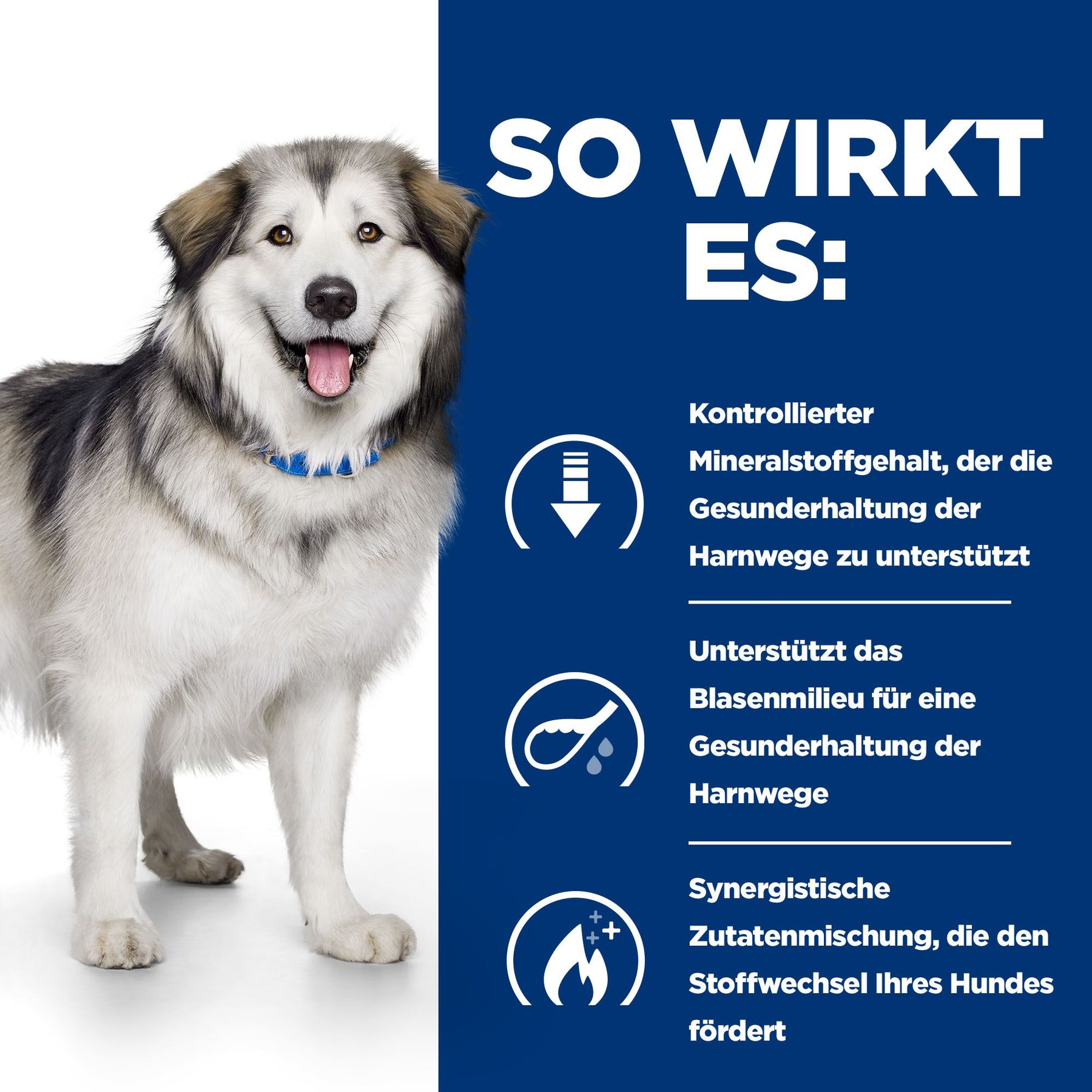 c/d Multicare+Metabolic Hundefutter How It Works