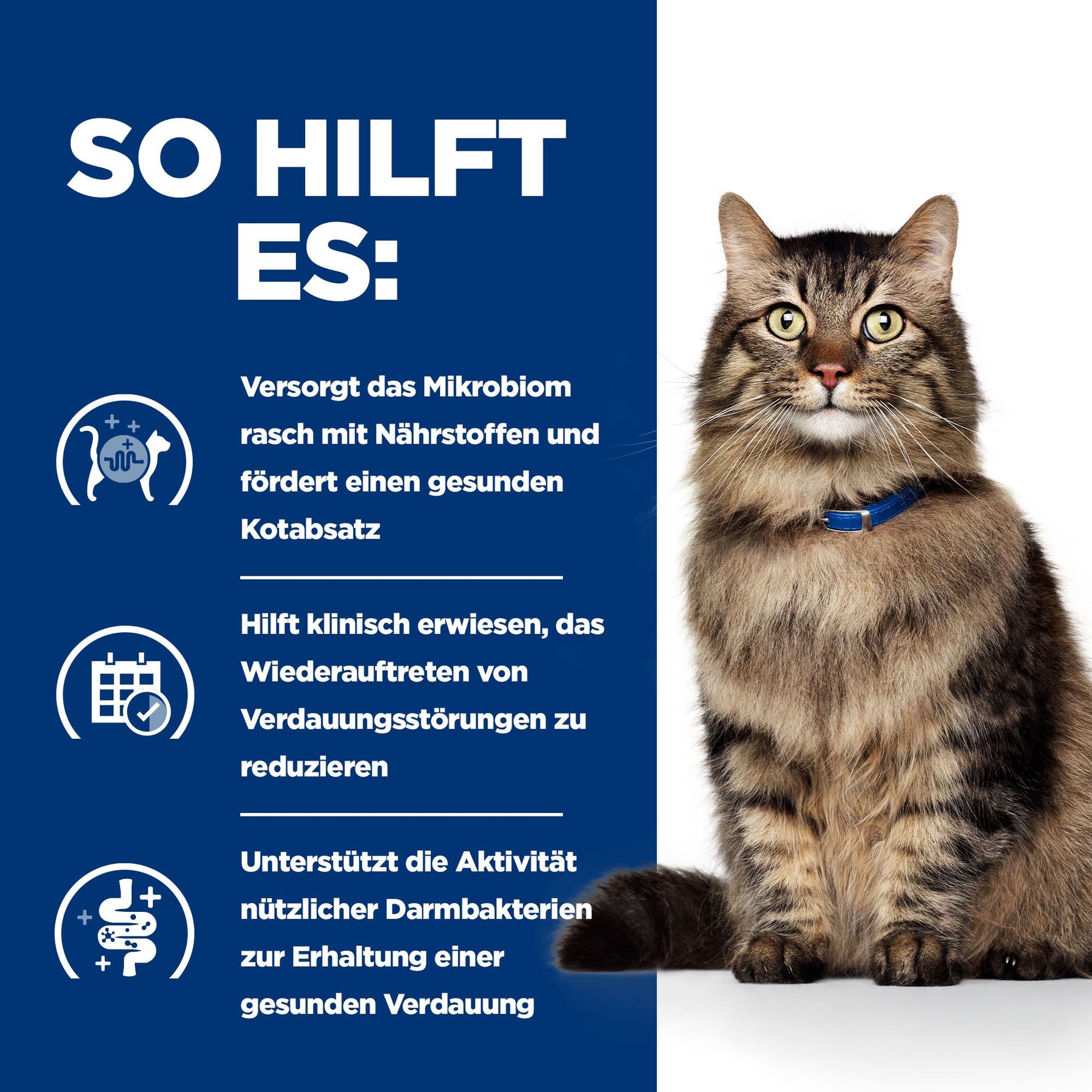 Gastrointestinal Biome Nassfutter für Katzen mit Huhn How It Helps