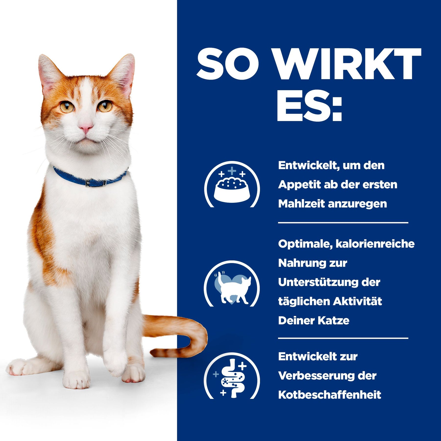ON-Care Katzen Ragout Huhn & Gemüse How It Works