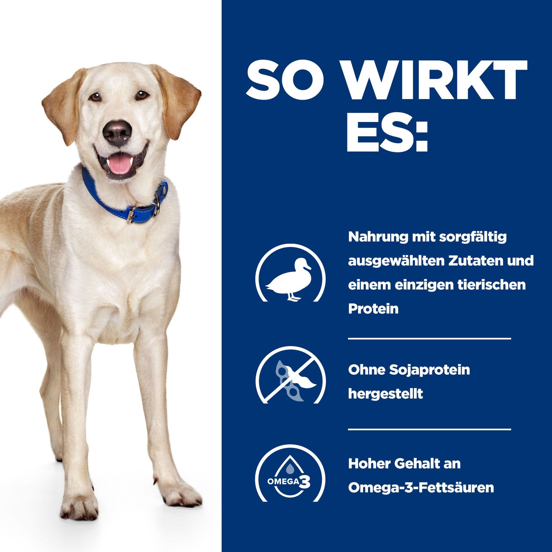 d/d Hunde Trockenfutter Ente & Reis How It Works