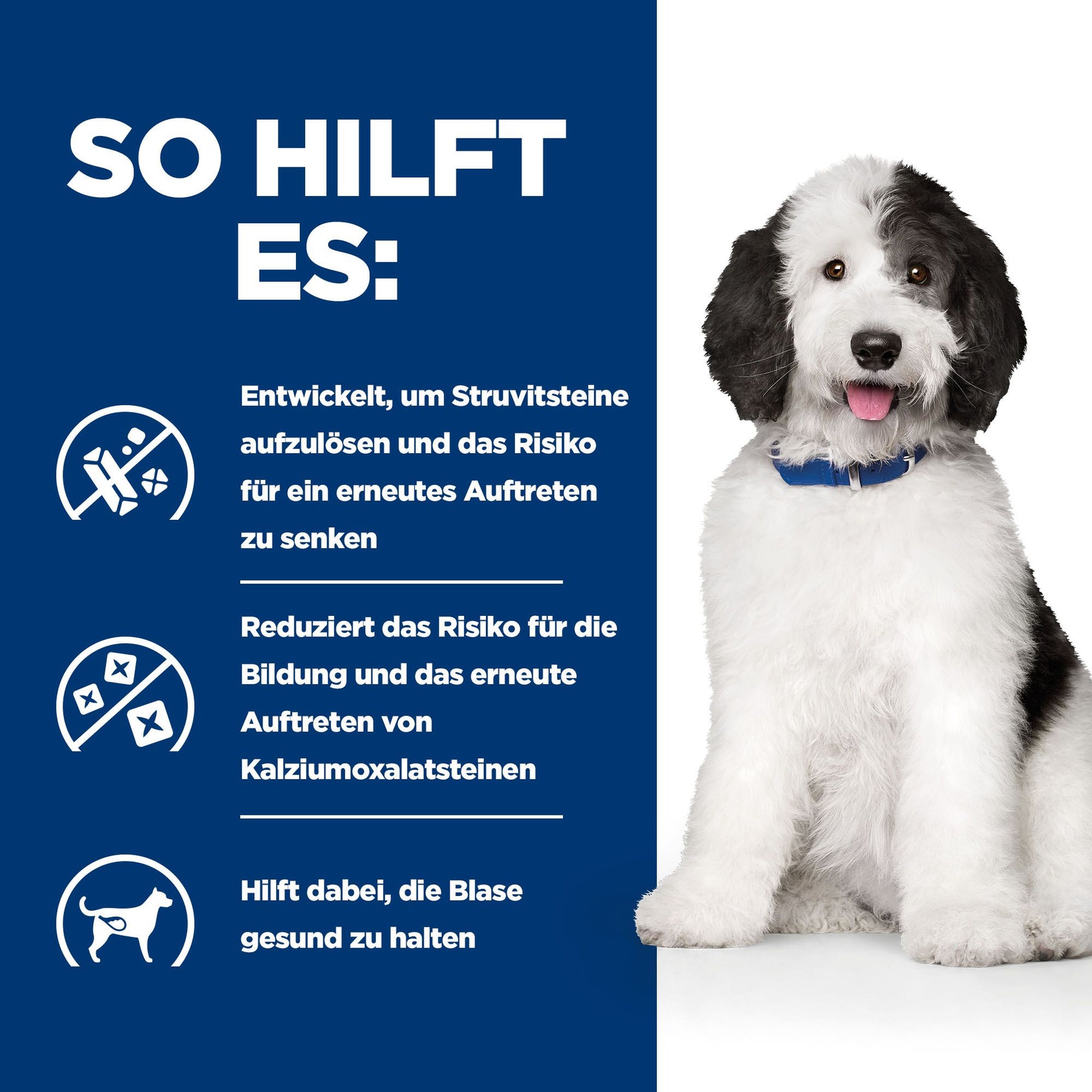 c/d Multicare Ragout für Hunde How It Helps
