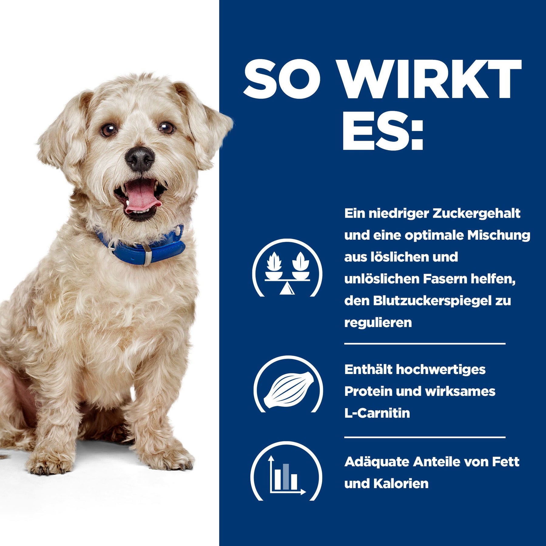 w/d Nassfutter für Hunde mit Huhn How It Helps