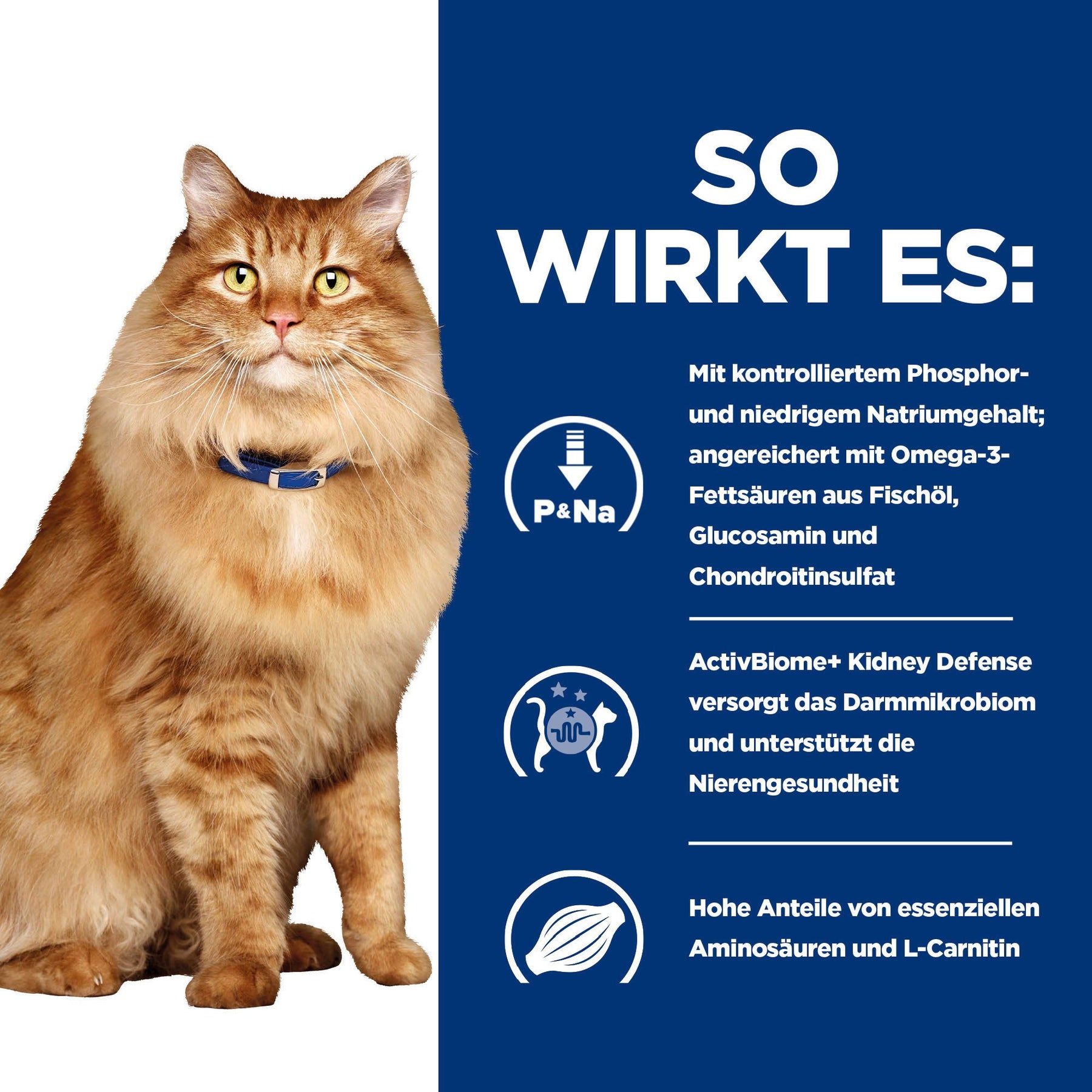k/d + Mobility Nassfutter für Katzen How It Works