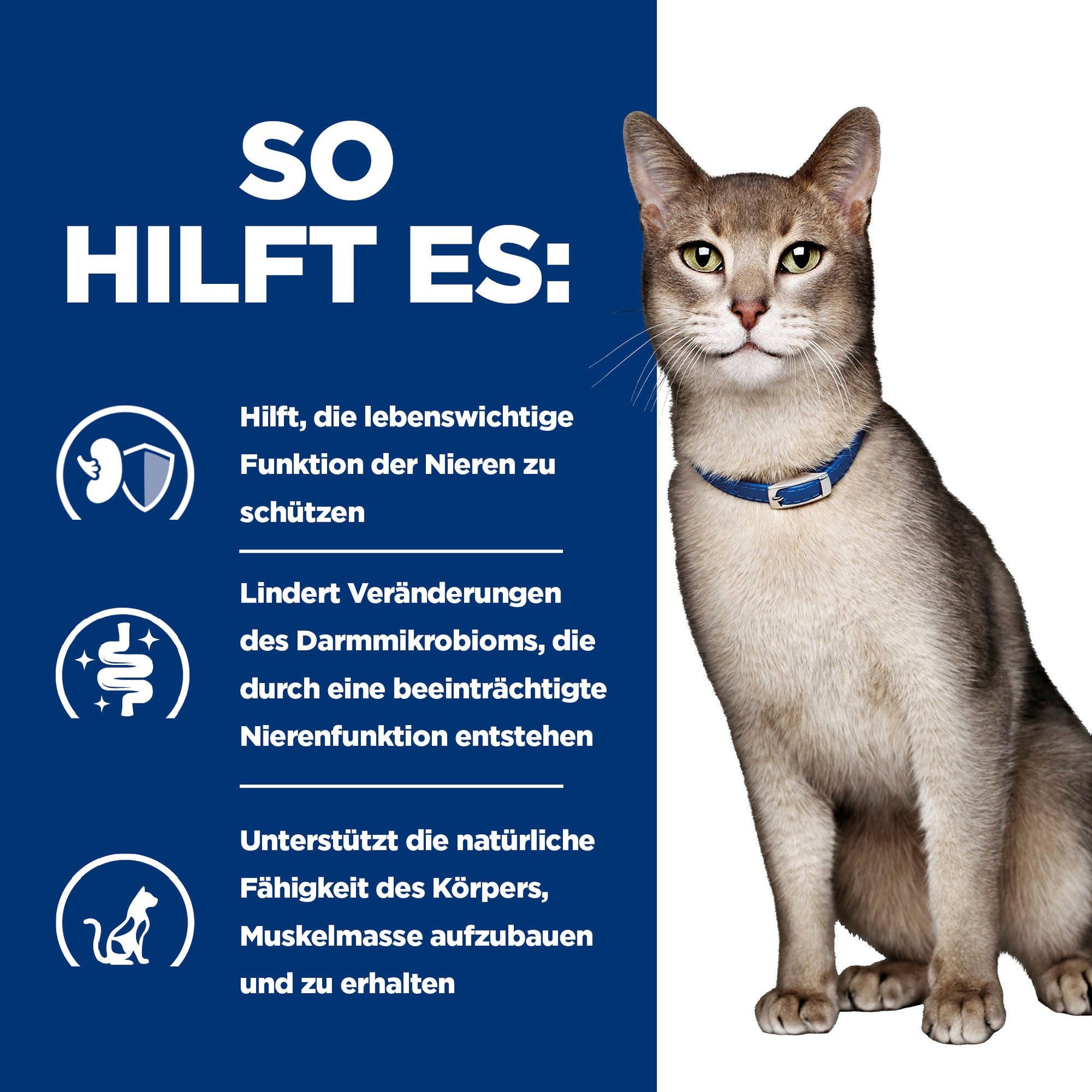 k/d Nassfutter für Katzen mit Huhn How It Helps